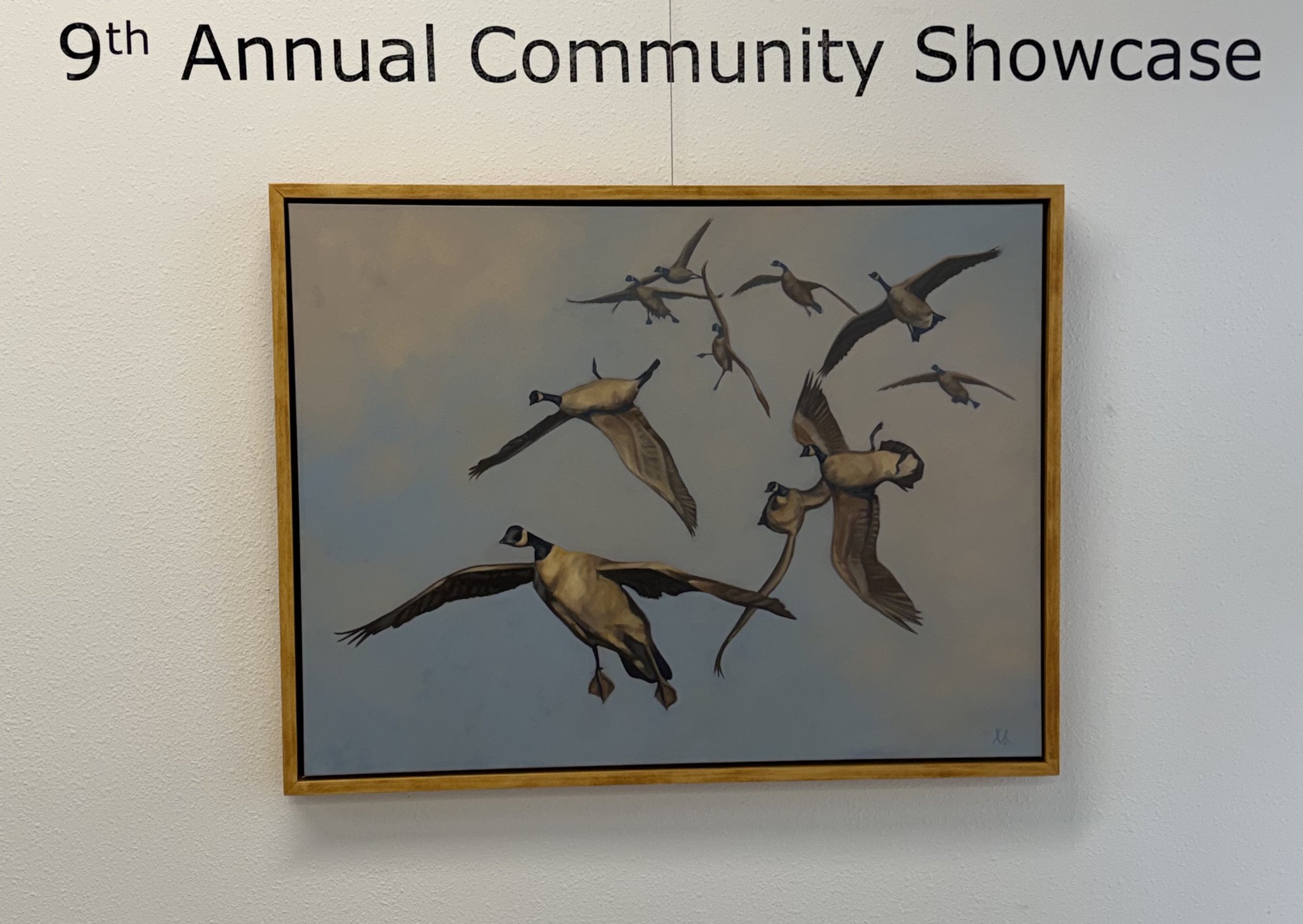 01 Comm Showcase.jpeg