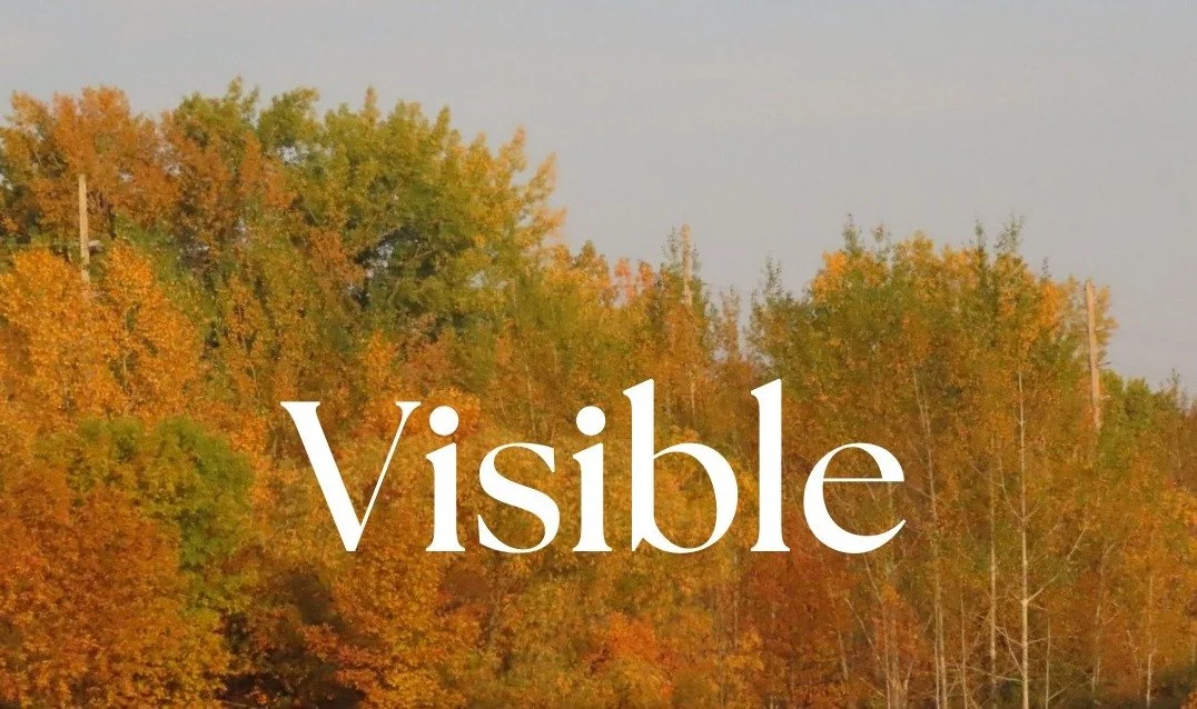 00 Visible.jpg