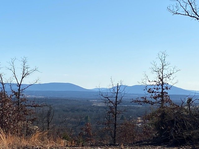 IMG_0010.jpg