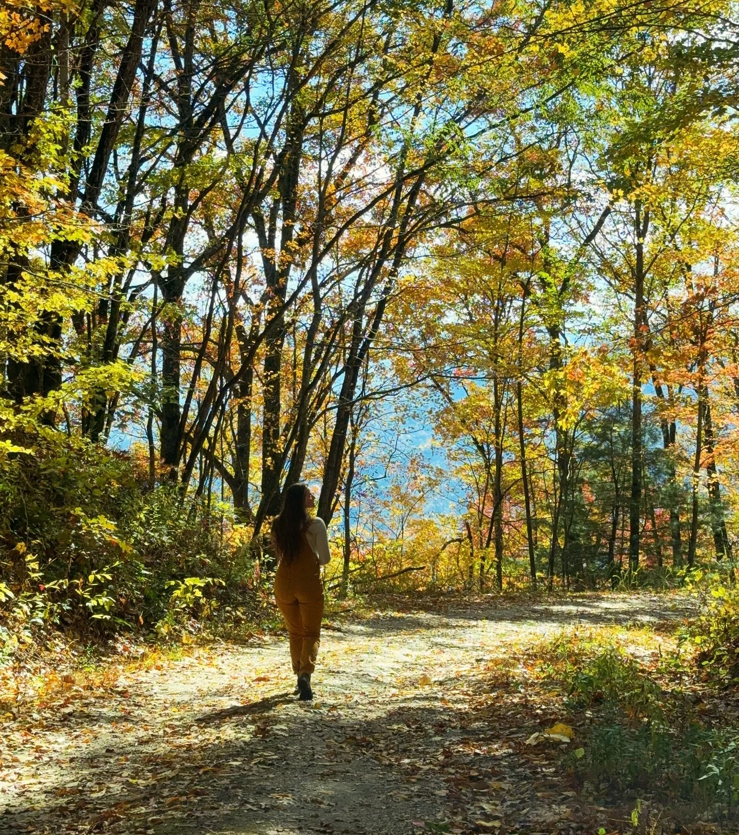 October, featuring some hikes, one last harvest, and our goodest boy who&rsquo;s proven his mettle on a 16-hour car ride immediately followed by some White Mountains walkies. (&ldquo;Parkour!&rdquo; Is our new favorite trick.)

November preview: 🎭 ?