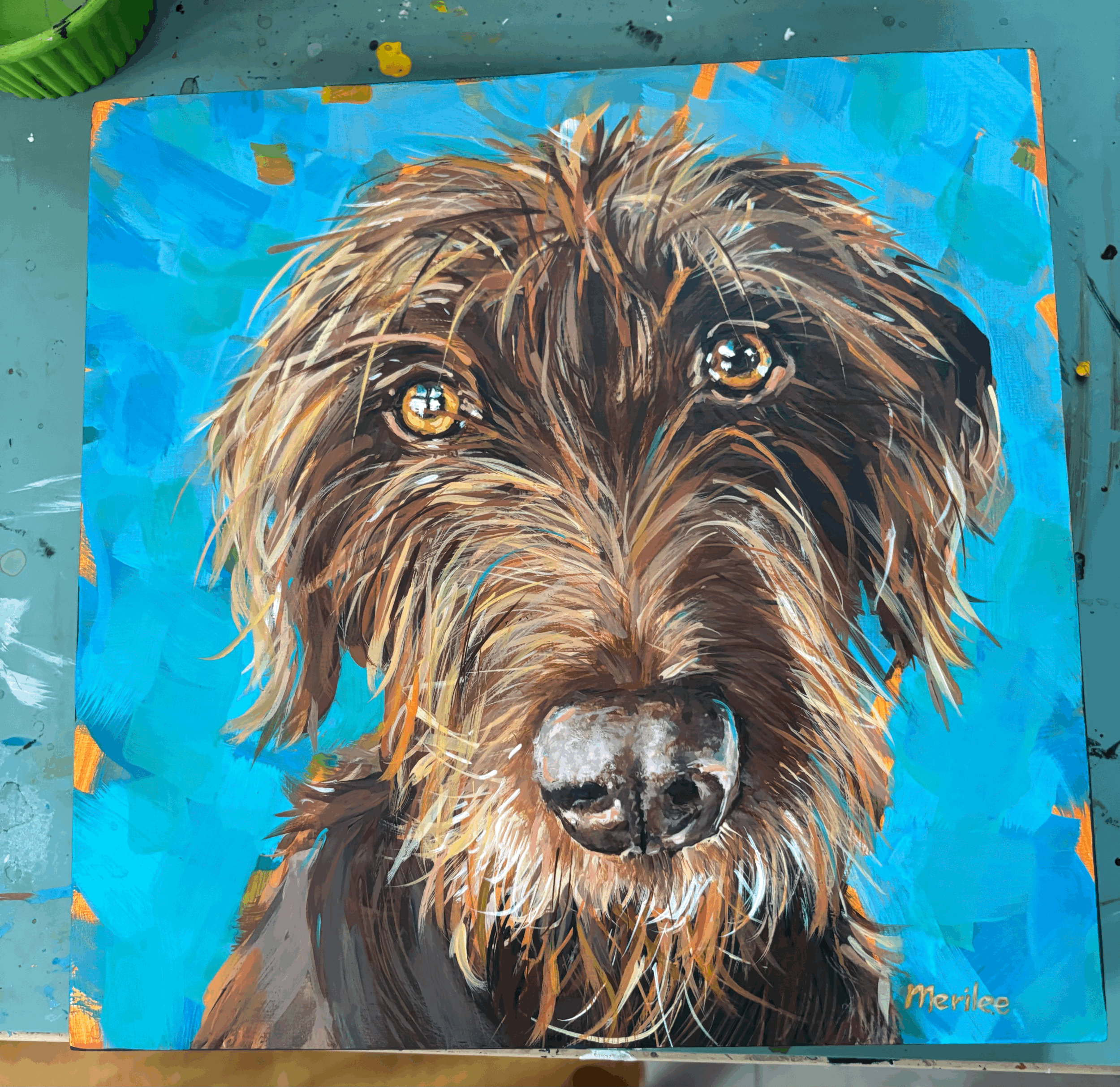 10"x10" Pet Portait on a wrapped canvas