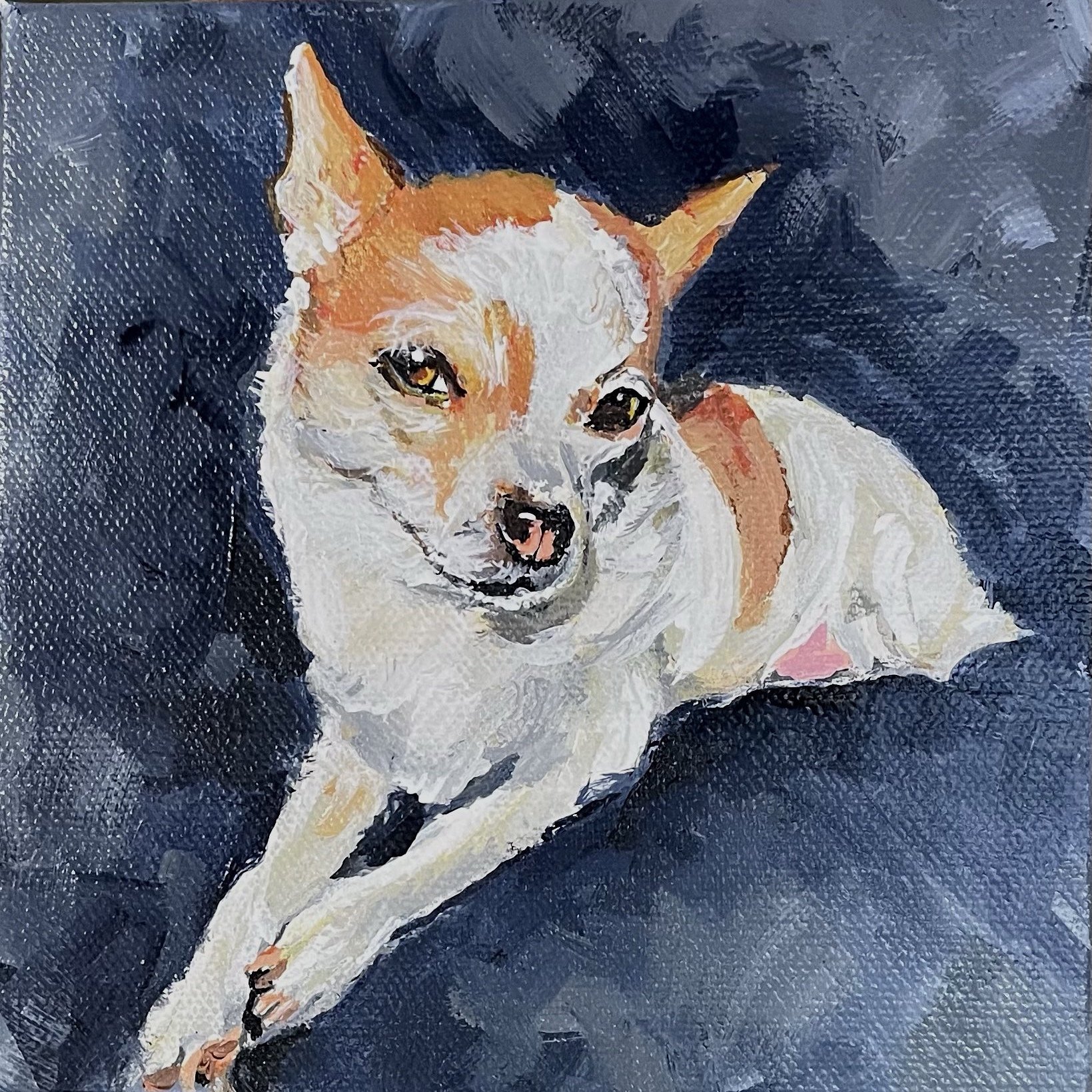 custom Pet portrait on a 6x6 canvas