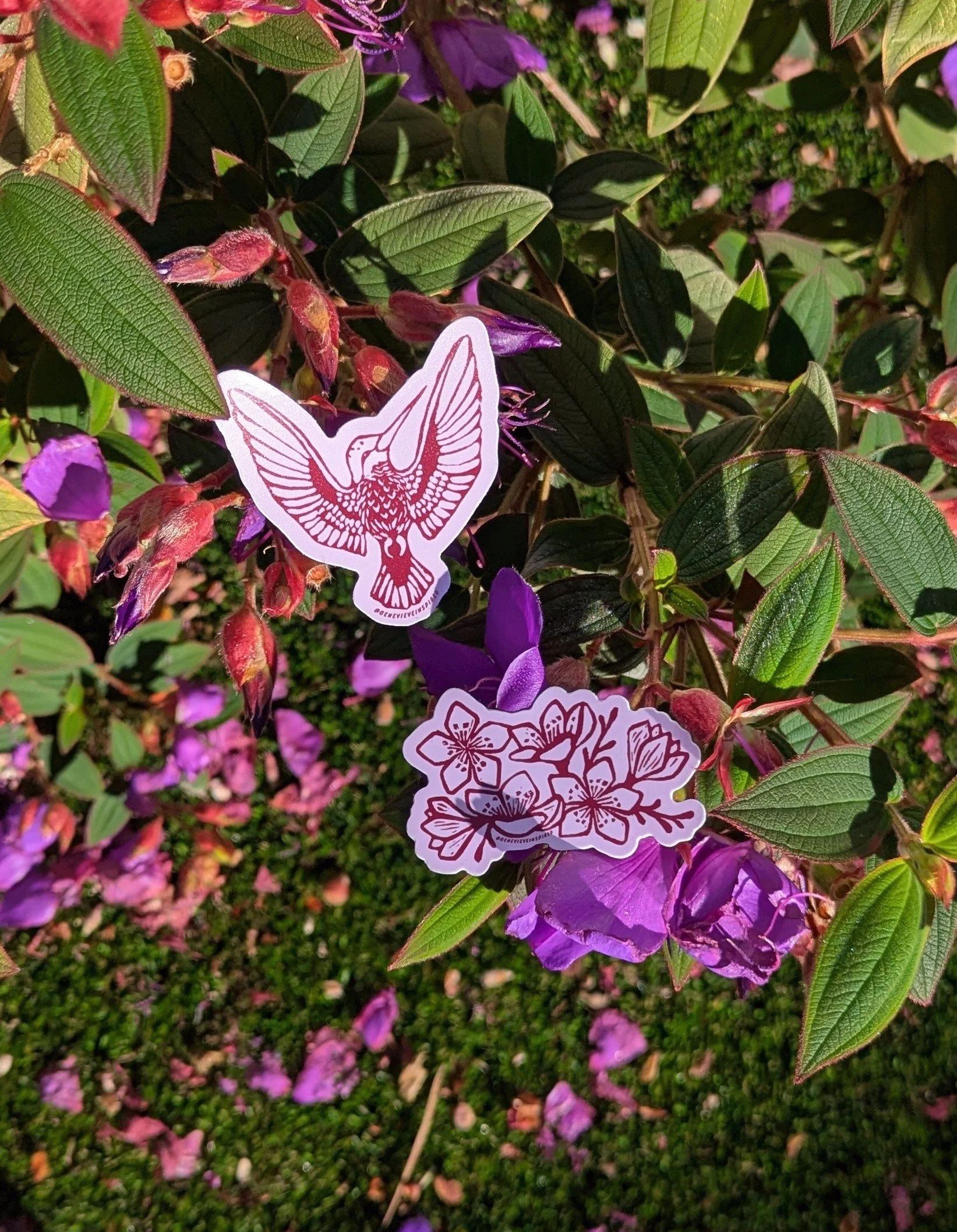 Hummingbird Stickers