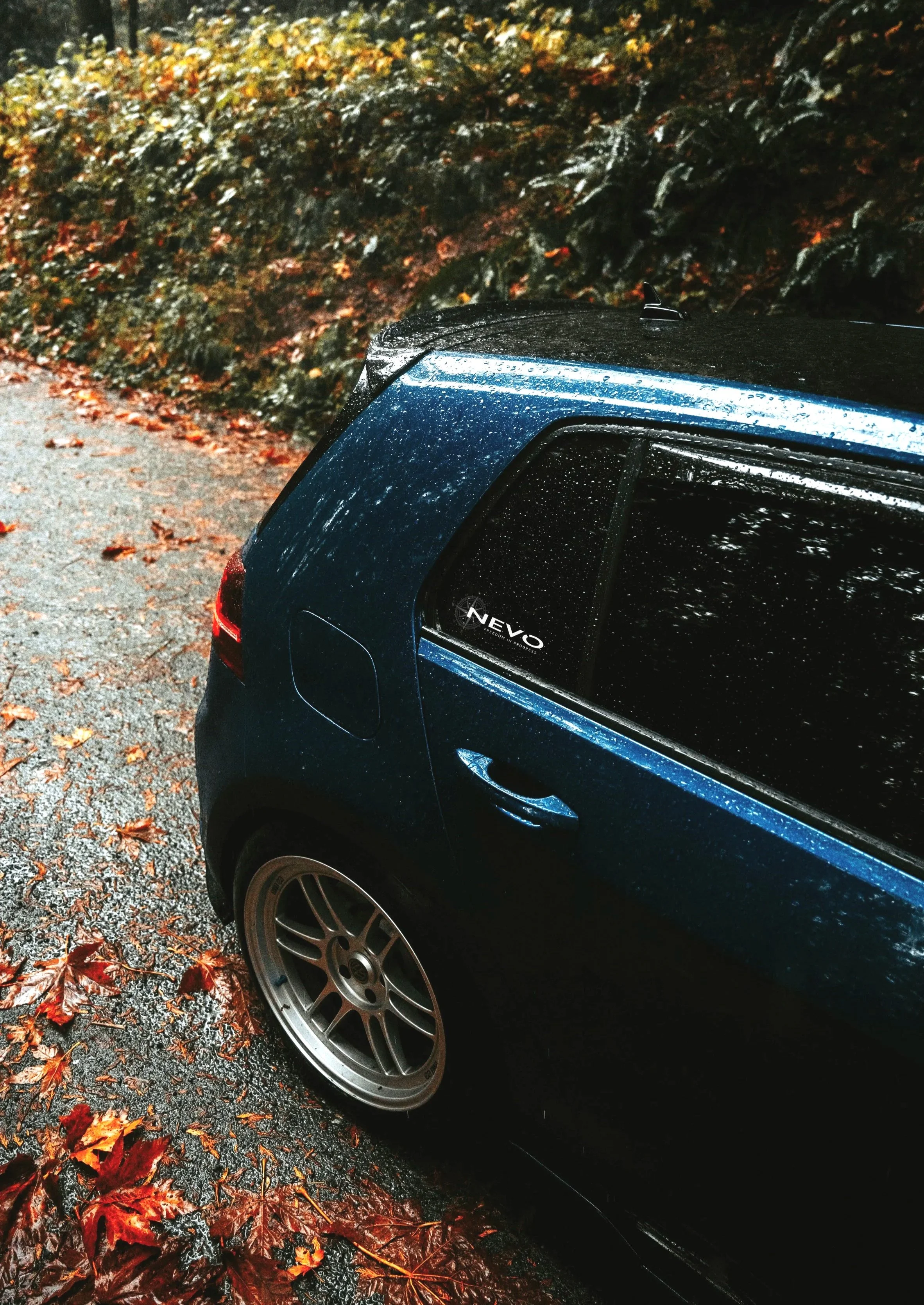 Fall Driving Tips for Safer Roads and Scenic Adventures
