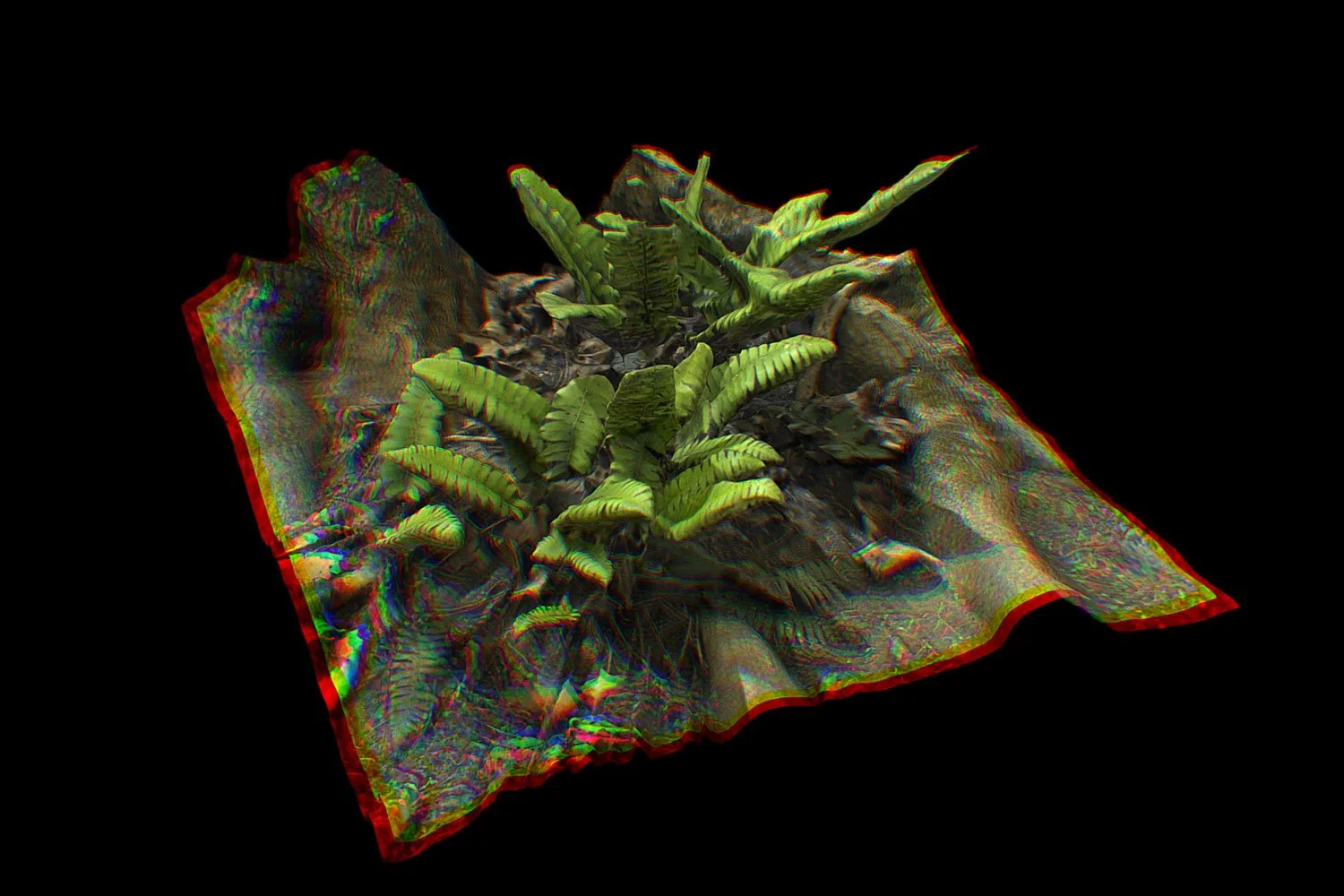 Cryptoflora Field Guide (WIP)