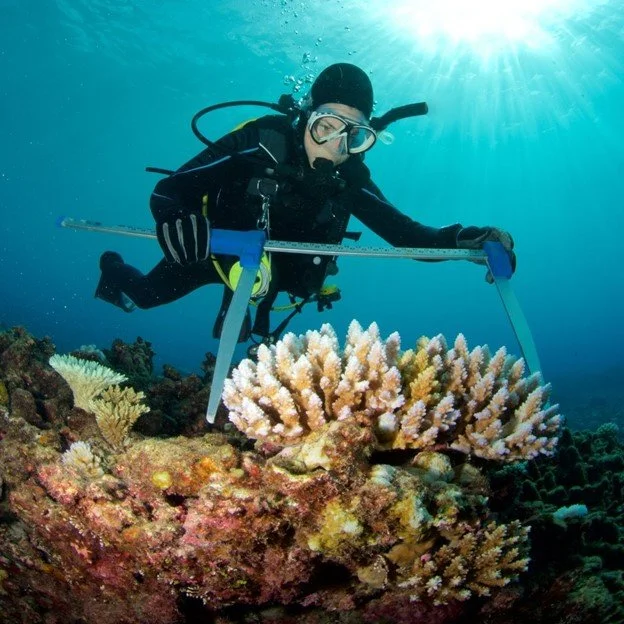 marine biologist buzzword.jpg
