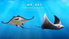 Ray Nemo Meet The Real-Life Animals From Finding Nemo — Kaimana Conservation