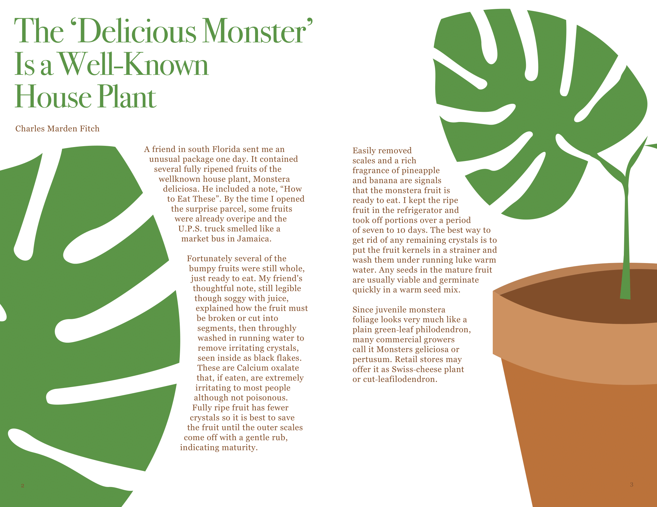 ECarhuapoma-XPD-Final-Spreads (dragged) 3-1.png