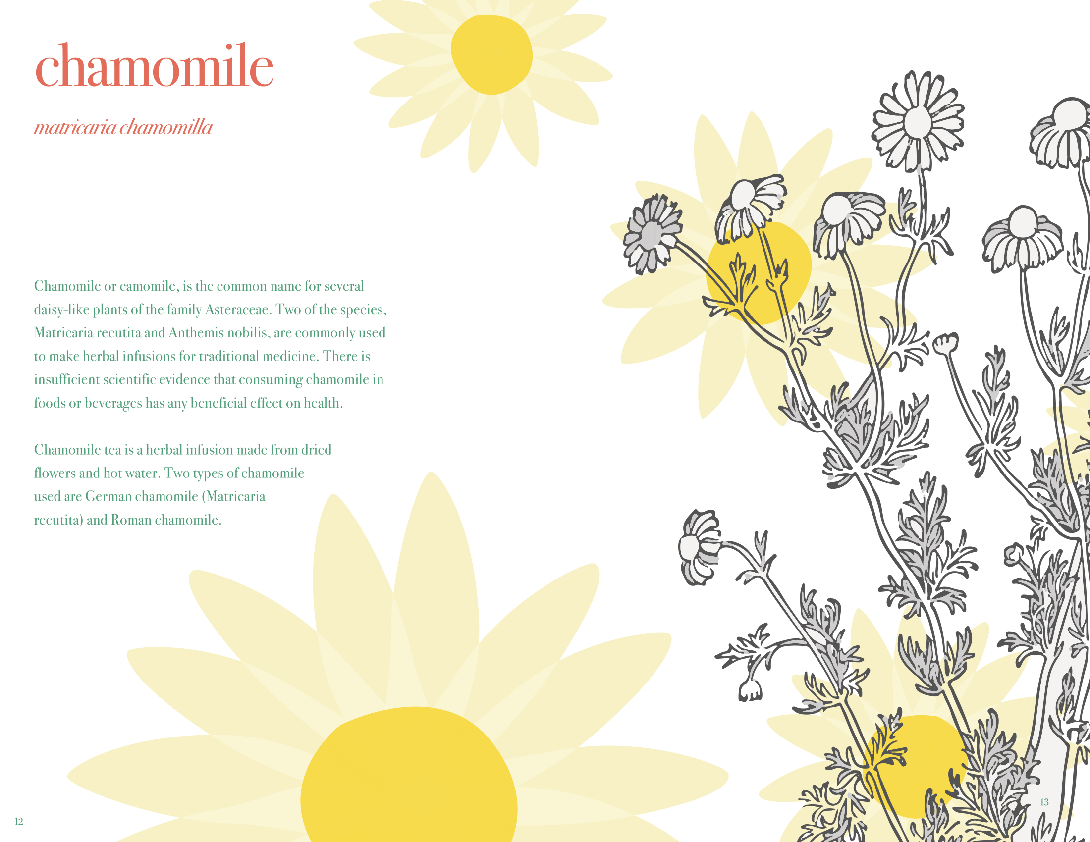 ECarhuapoma-XPD-Final-Spreads (dragged) 10-1.png