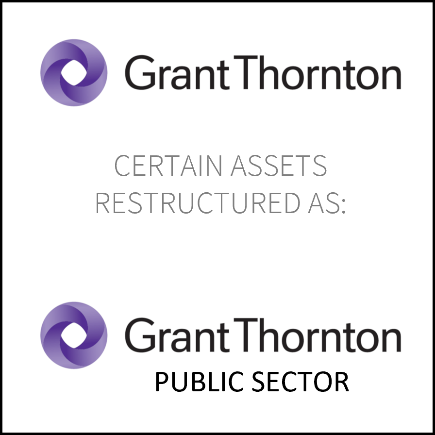 11 public+sector.png