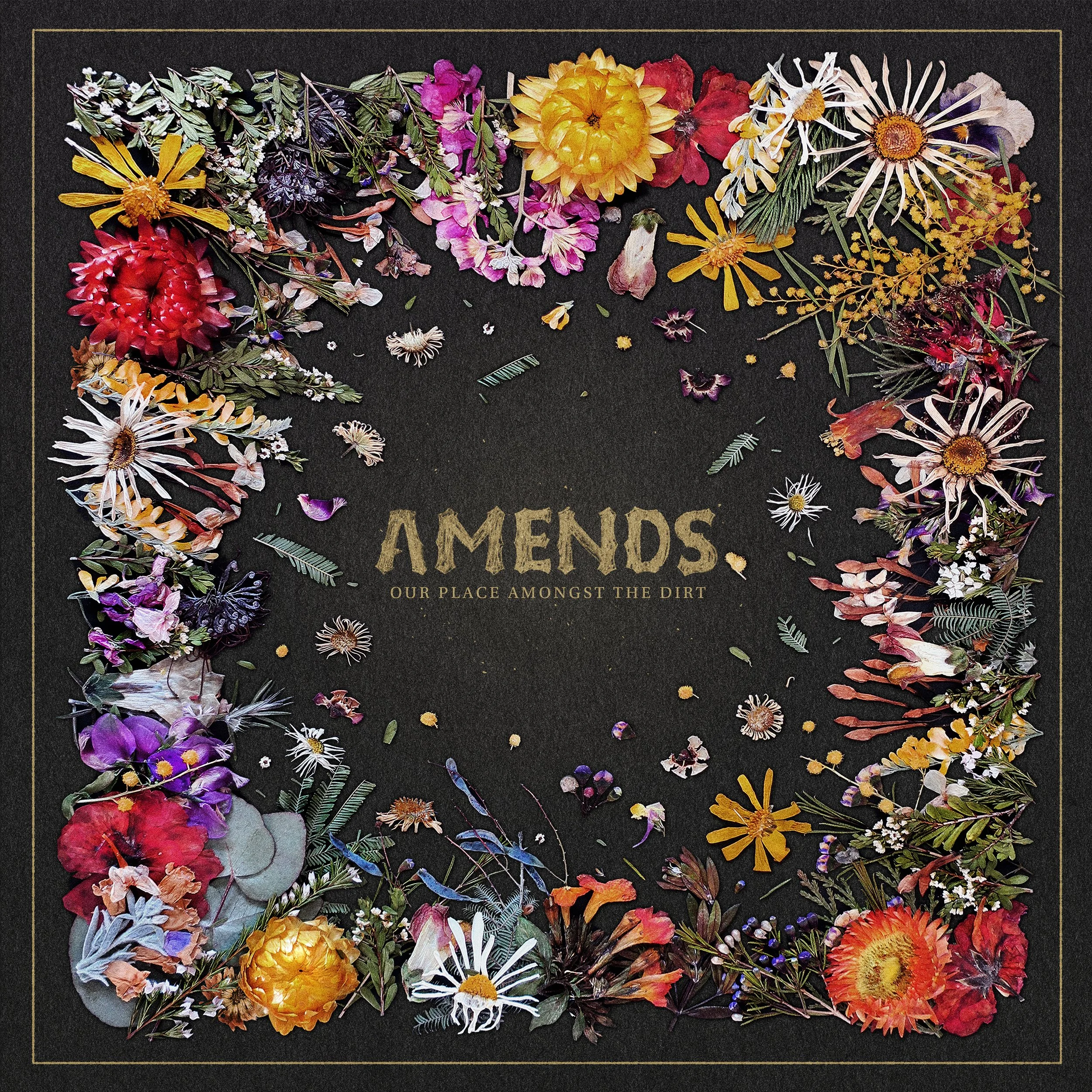 Amends-OPATD-Digital.jpg
