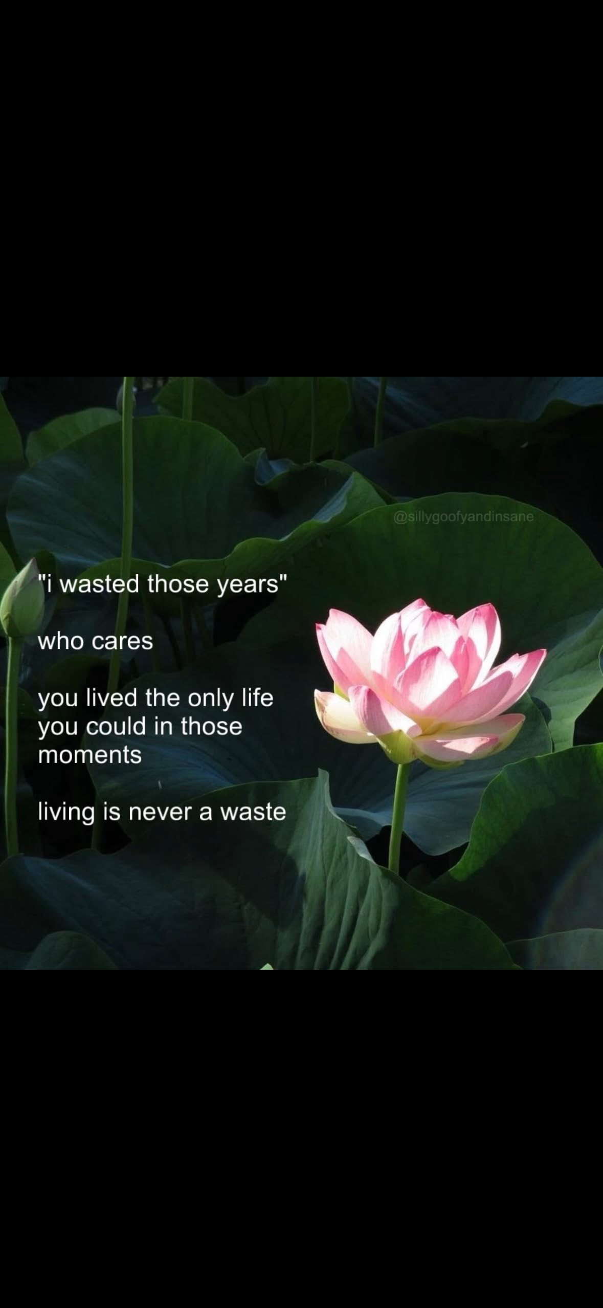 “I wasted those years.”