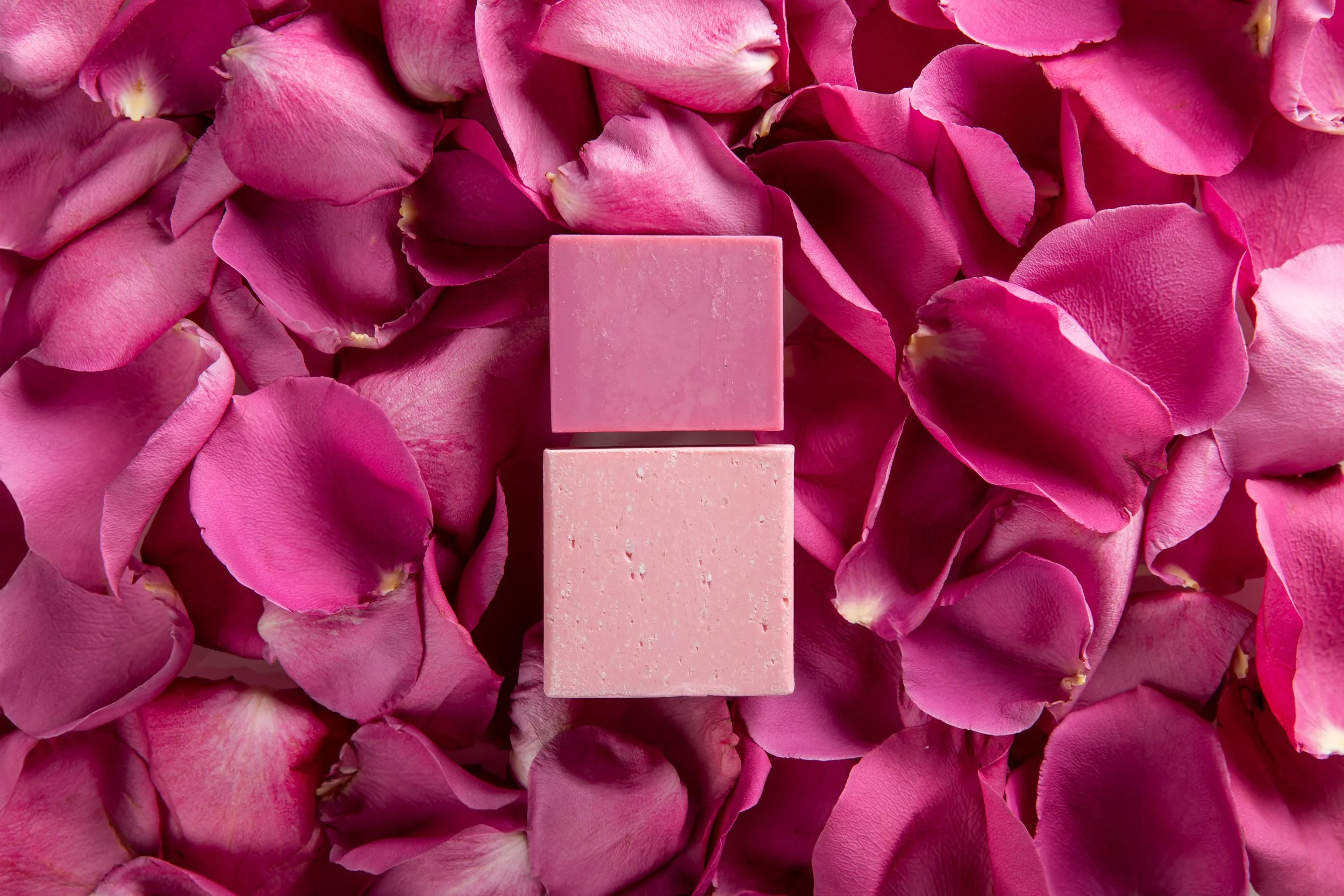 The Earthling Co_R1_IMG_6648.jpg