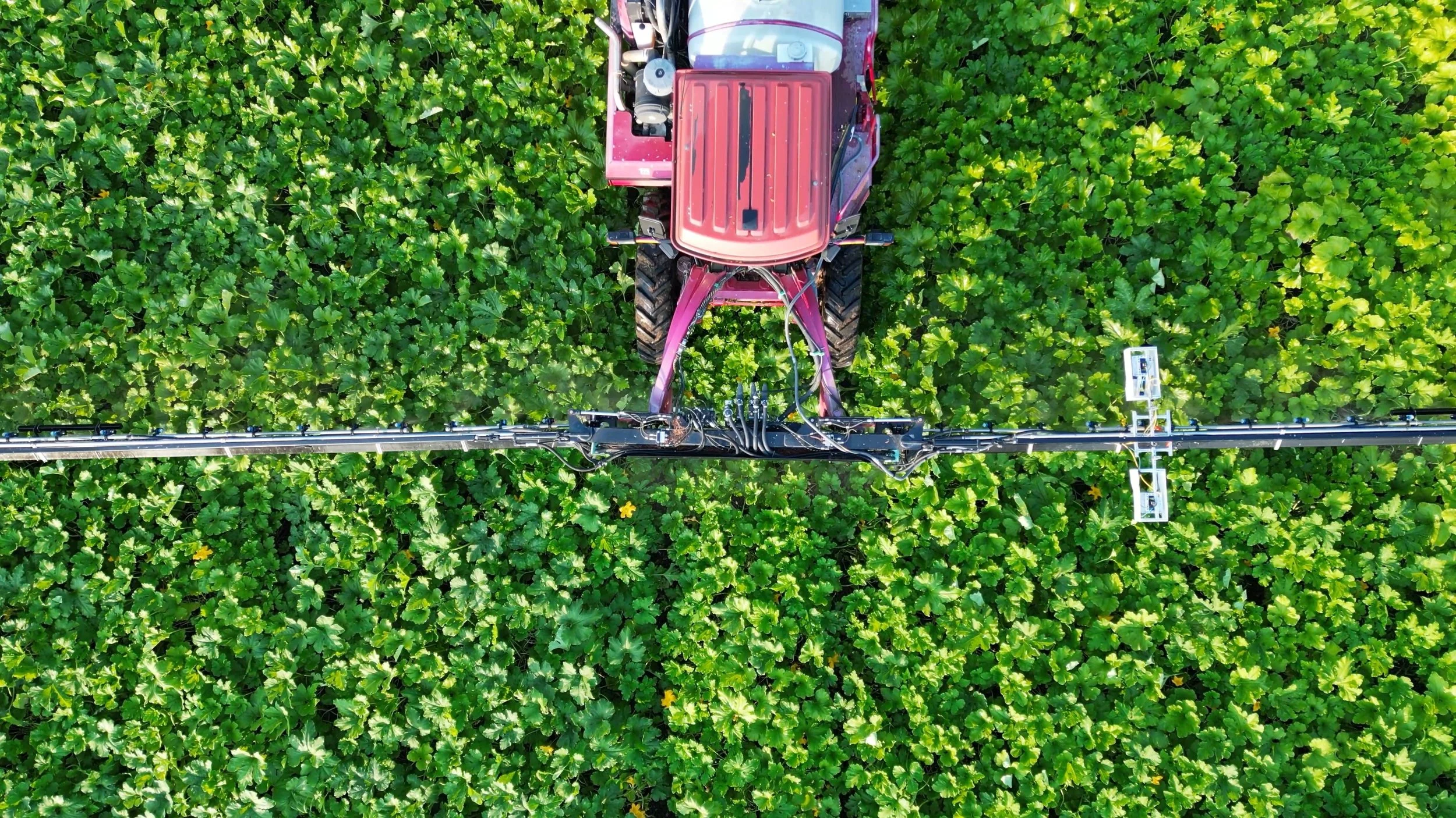 Spray from above.jpeg