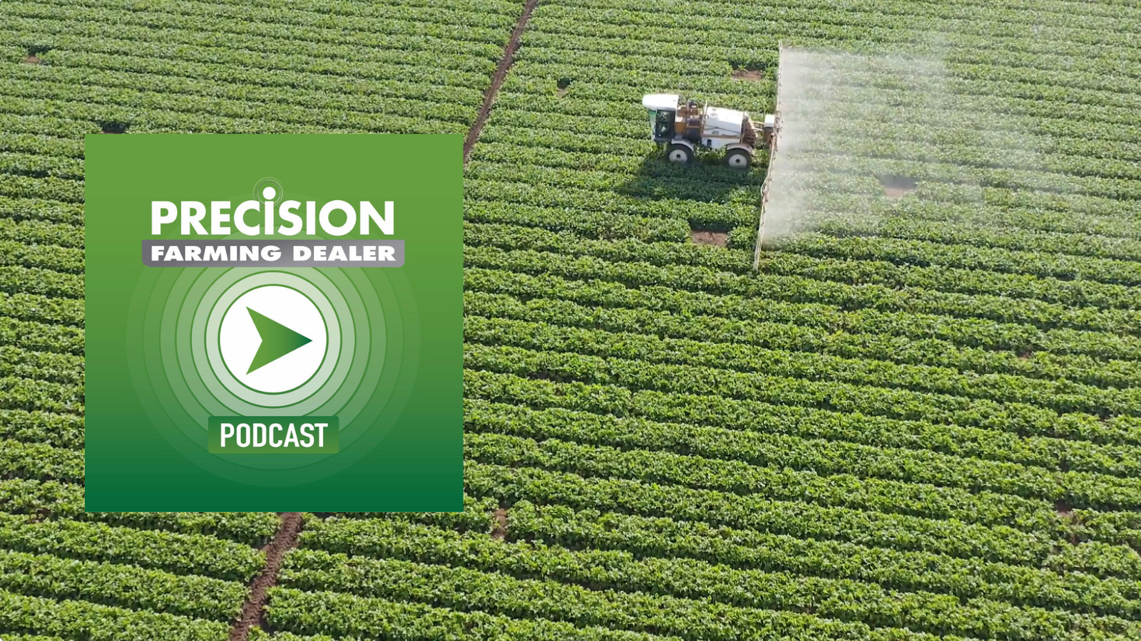 website podcast post picture .png