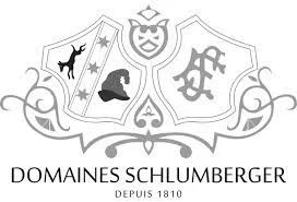 DomainesSclumberger.jpg