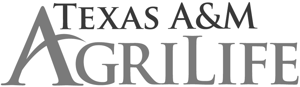 TexasAM.png