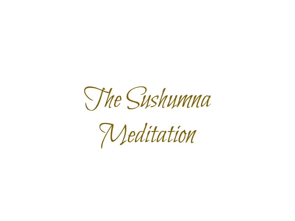 Untitled drawing (7).png