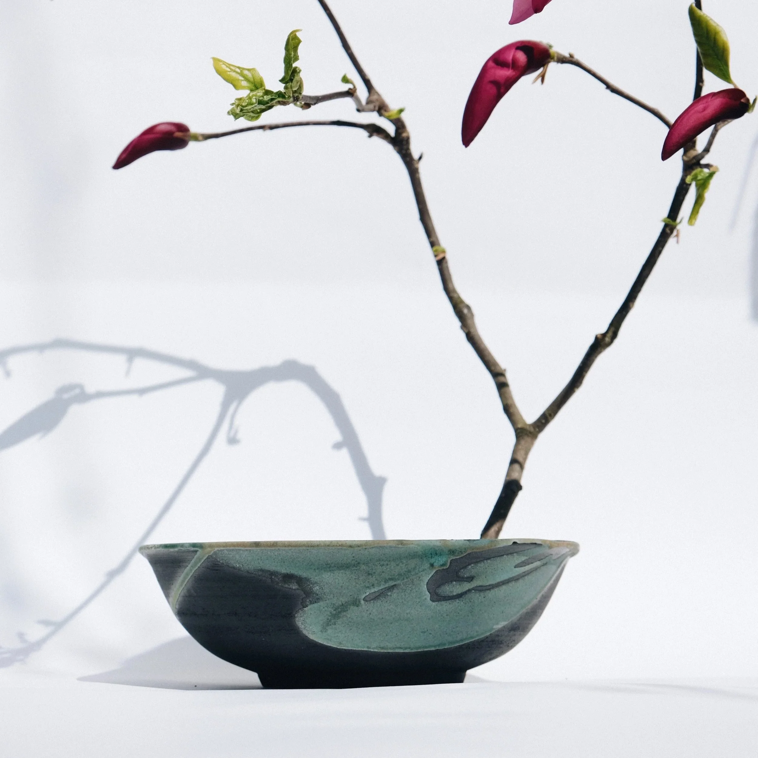 Ikebana Oaza