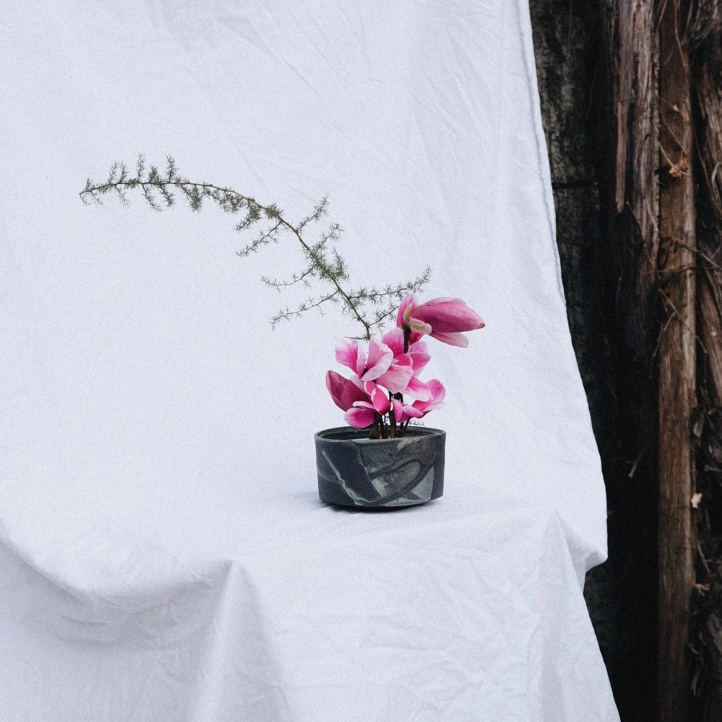 Ikebana Tajga Elipse