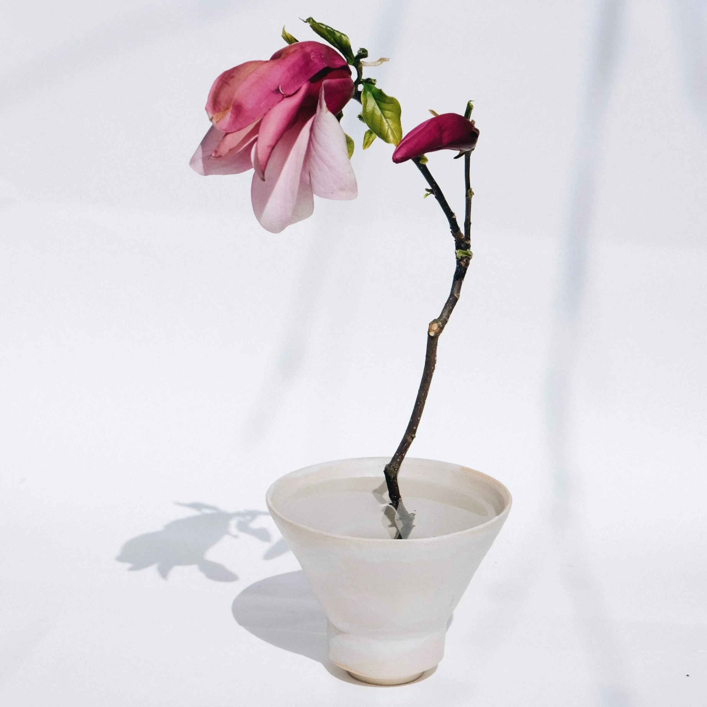 Ikebana Smetana