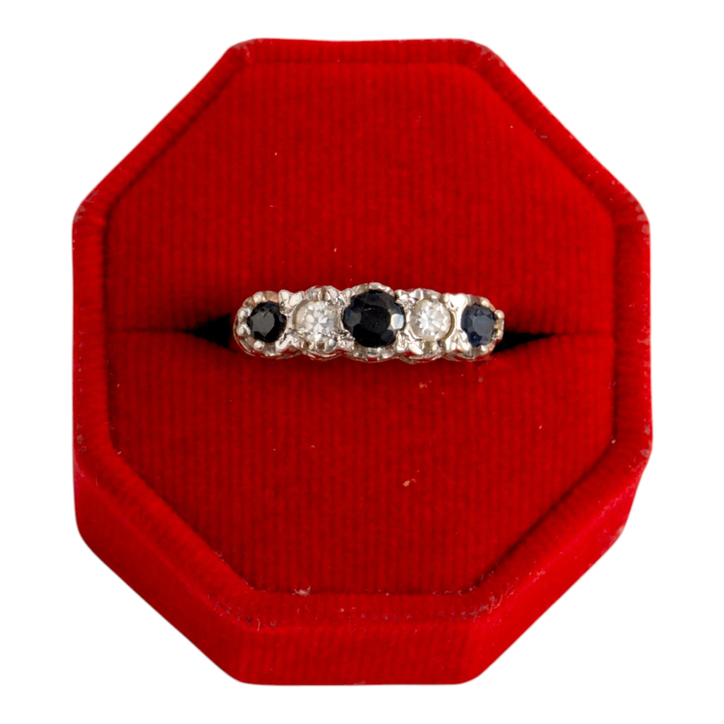 DSC01341.jpg