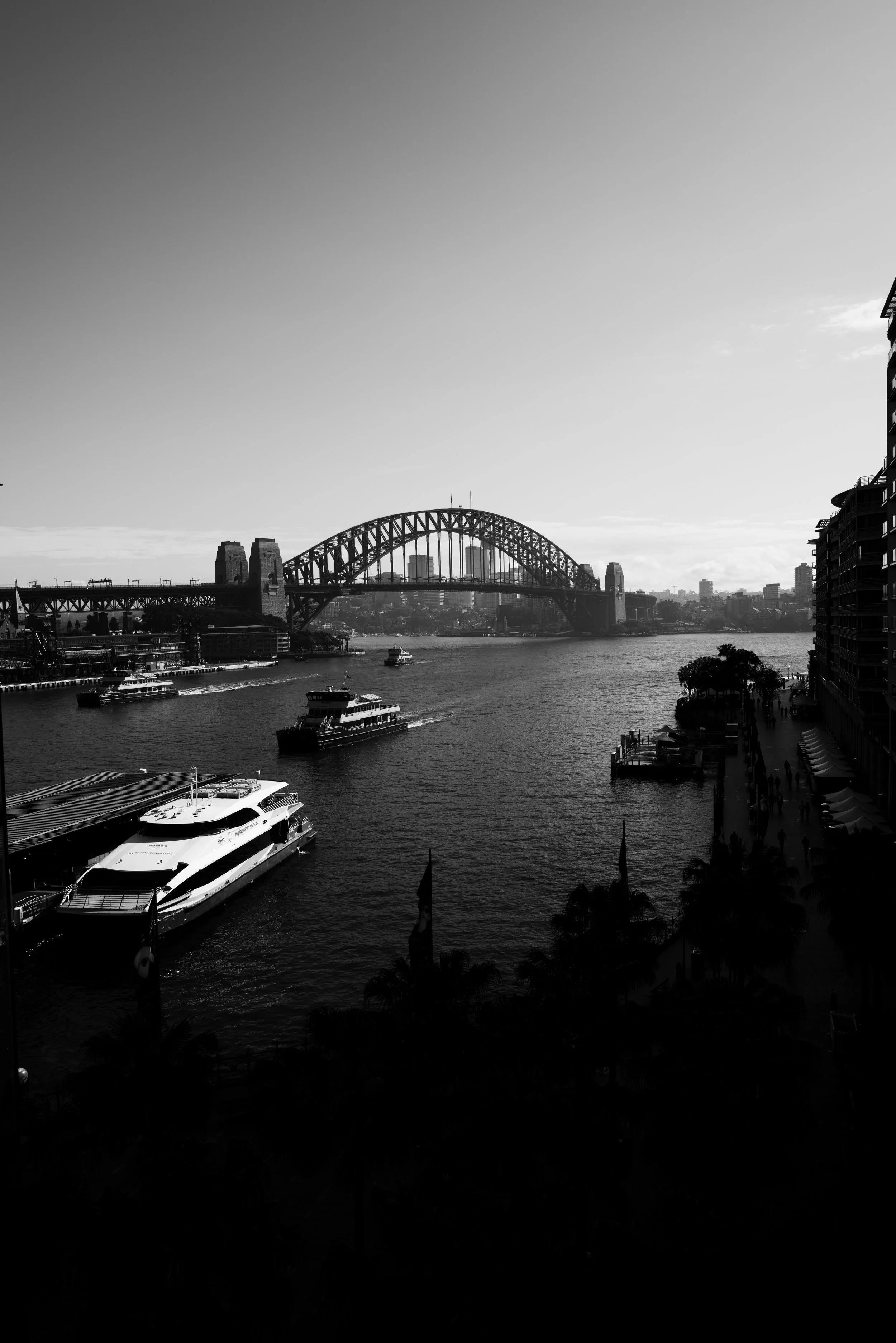 L1007005.jpg