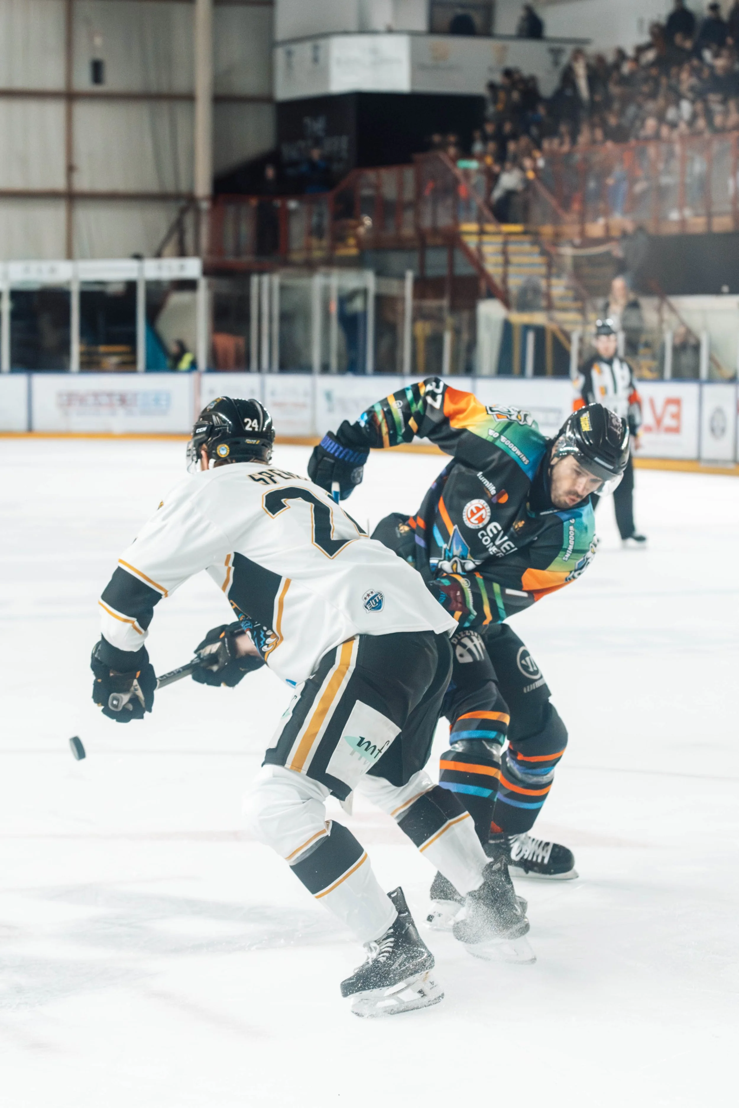 Hockey players fighting on ice rink during game, with crowd in stands in background.