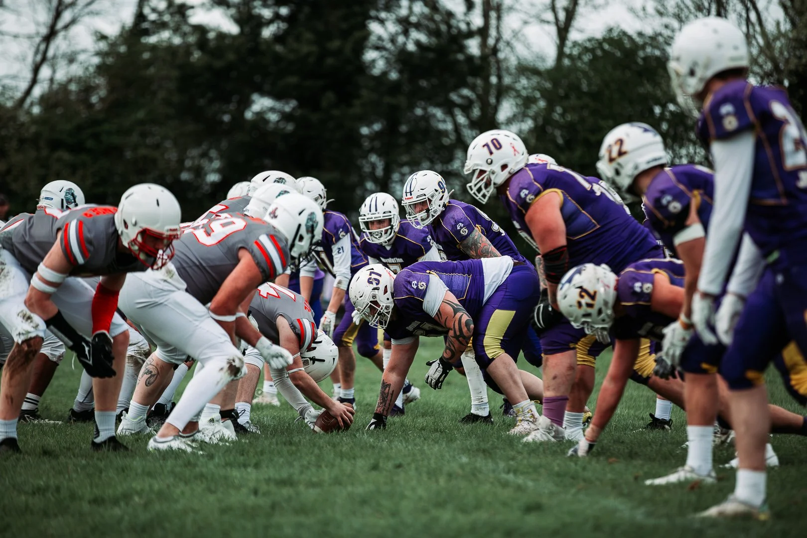 American football game with players in purple and gray uniforms lined up for a play on a grassy field, under an overcast sky.