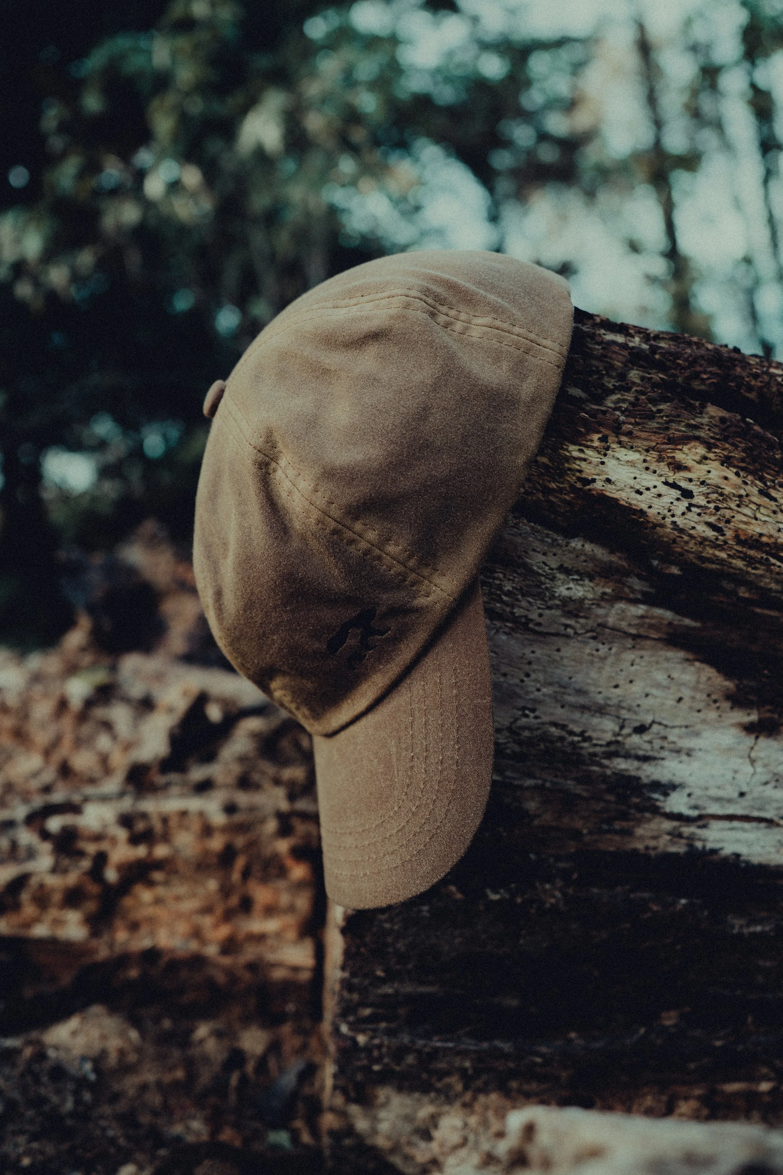 A tan baseball cap resting on a fallen log in a forest setting with trees and foliage in the background.