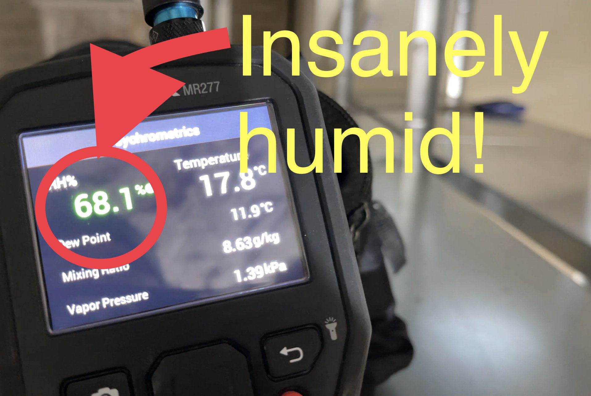 Insanely Humid Cellar In Need of Our Help!