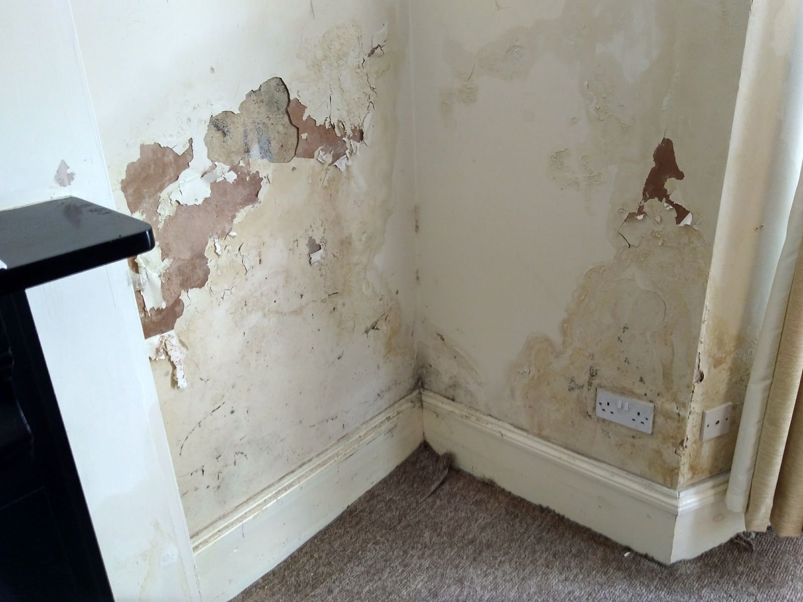 Do You Have Walls Like This And Think Its Rising Damp?