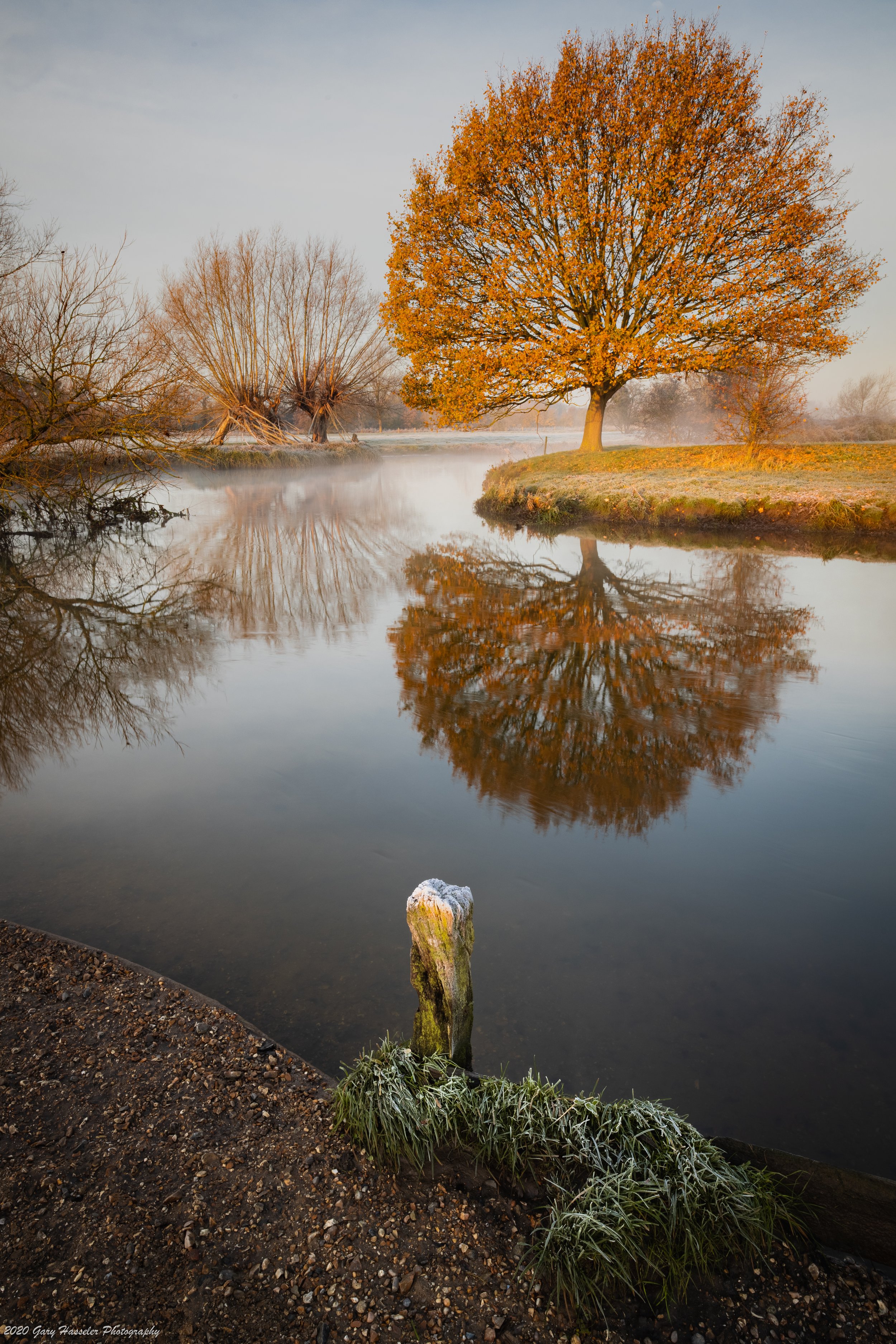 Autumn colours on the River Stour.