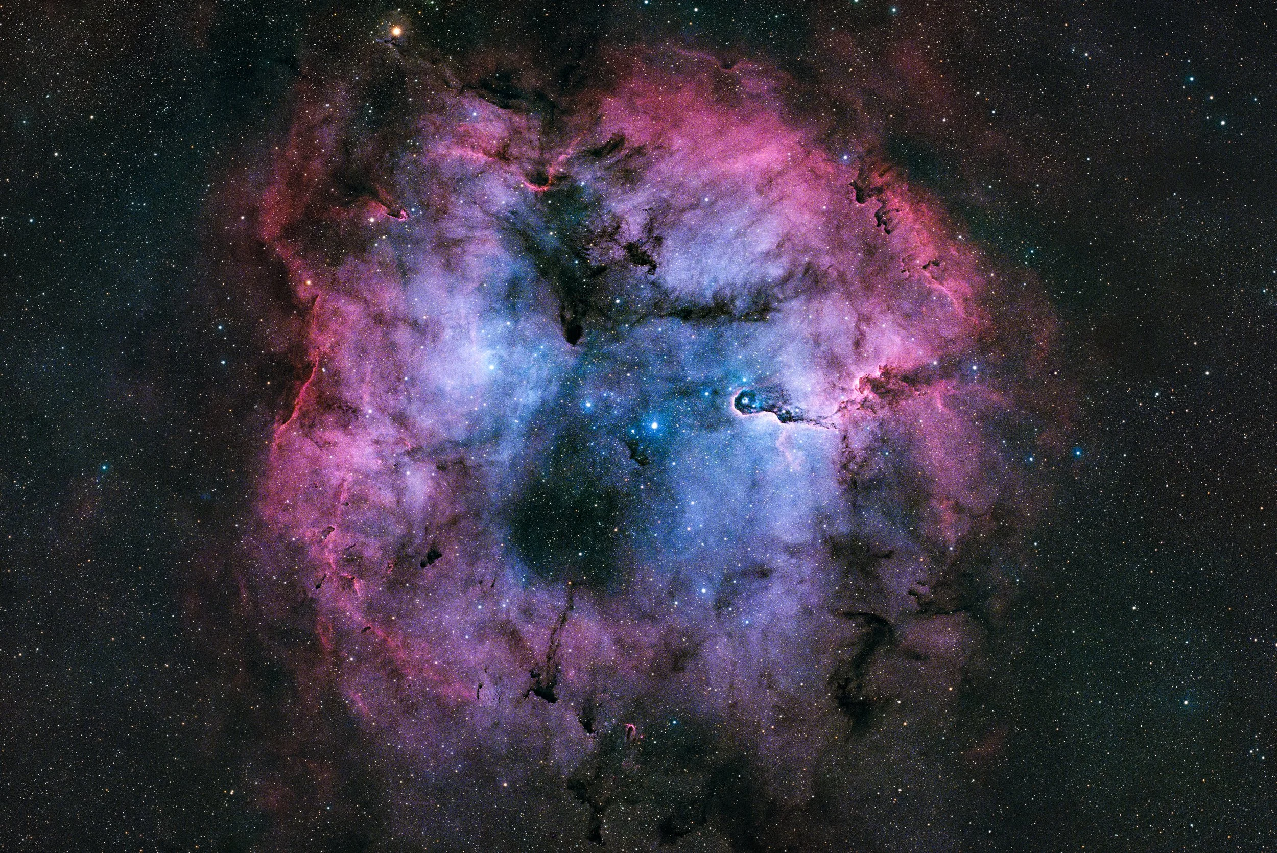 The Elephant's Trunk Nebula