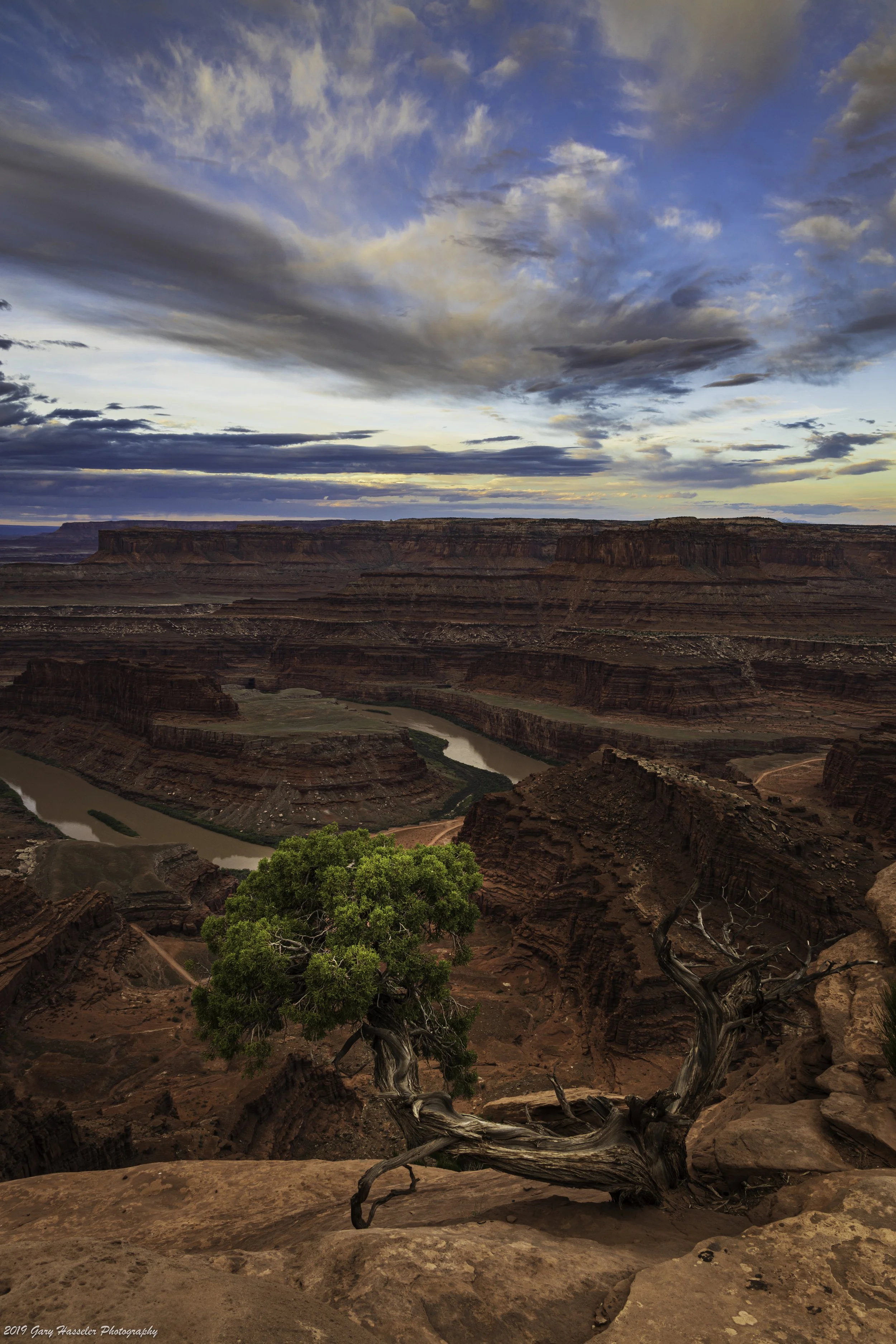 Overlooking Canyonlands National Park from Deadhorse Point.