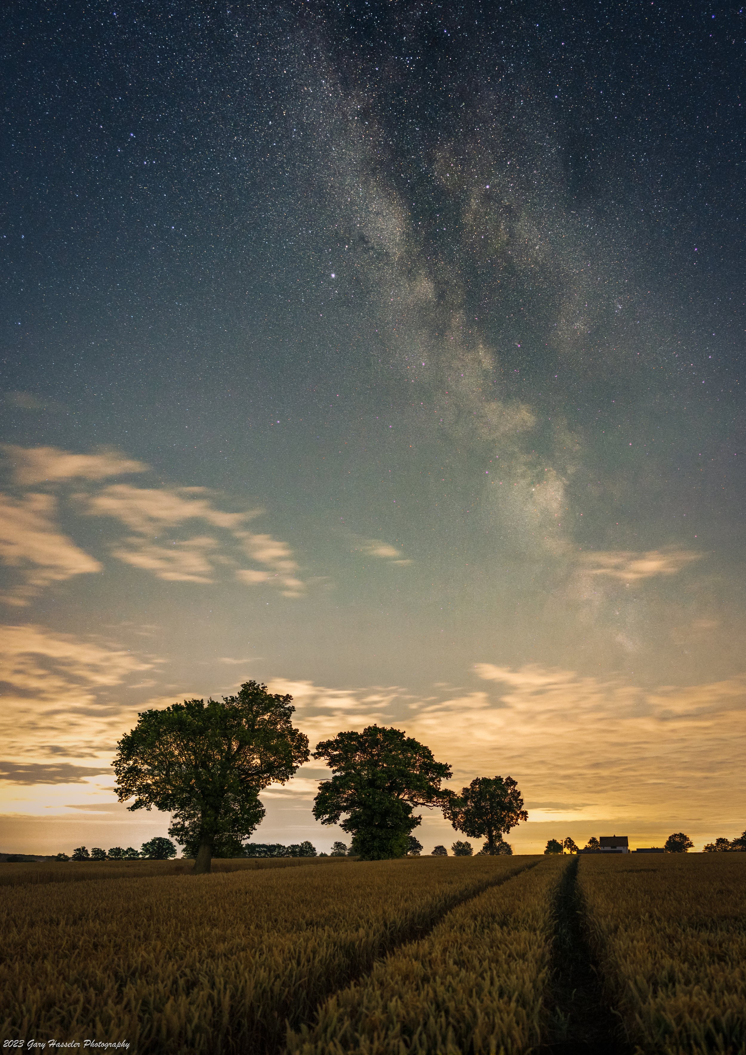 The Milky Way rises over a field of summer wheat in Suffolk. July.