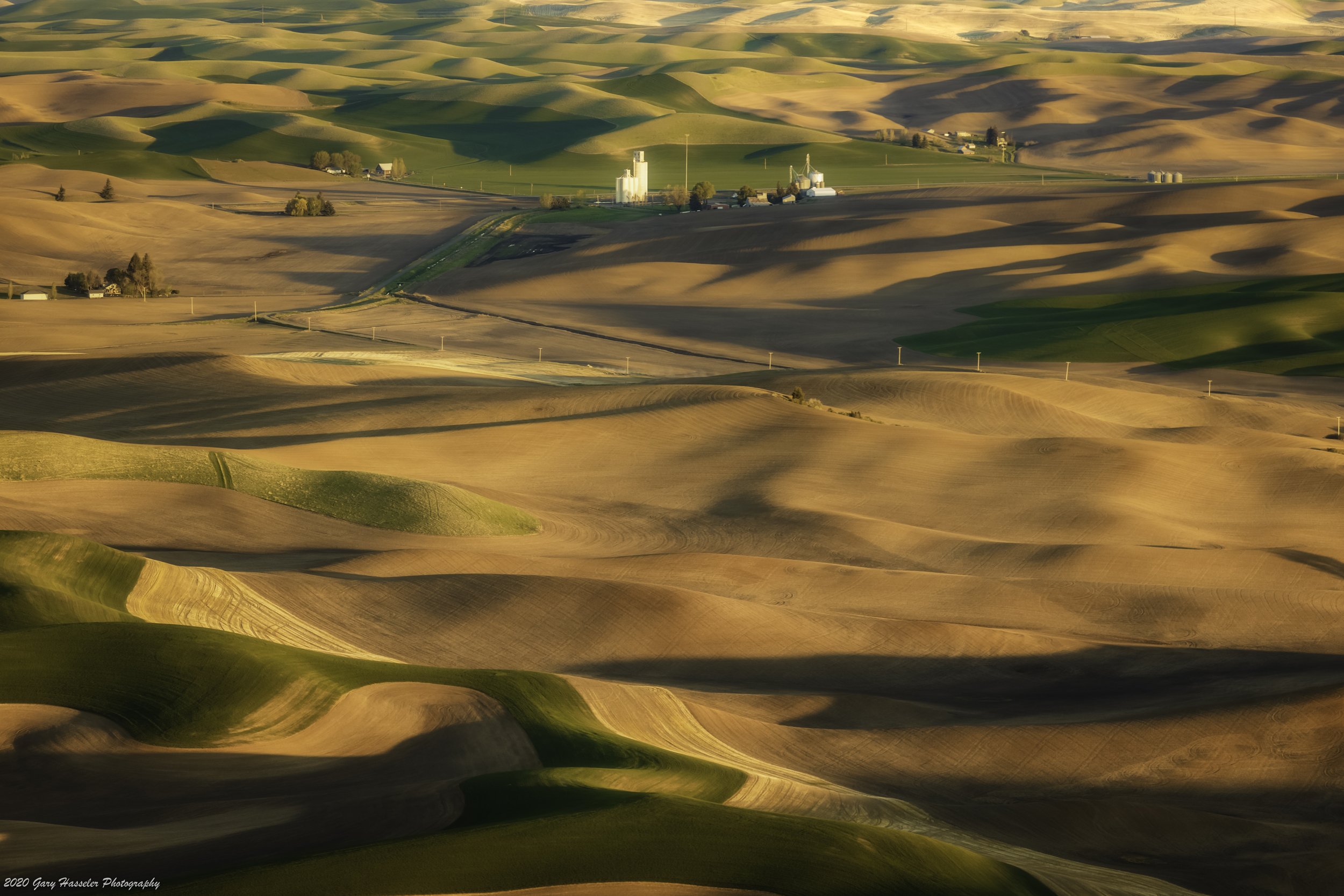 Sunrise on the Palouse, eastern Washington State.
