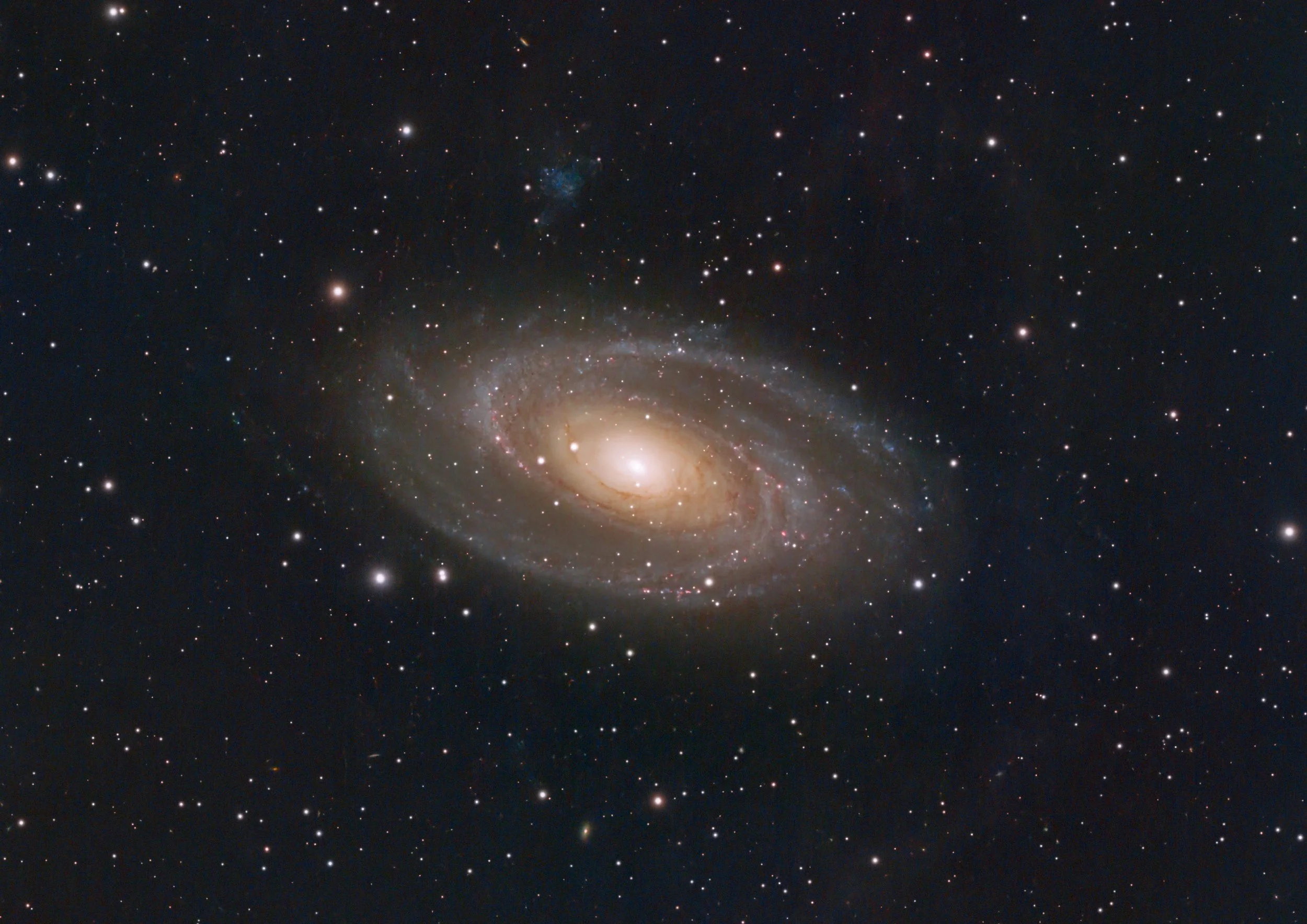M81, Bode's galaxy.  A grand design spiral galaxy about 12 miilion light years away in the constellation Ursa Major.  The small, blue-ish cloud just above Bode's is Holmberg IX, a dwarf, irregular galaxy caught in Bode's gravitational field.