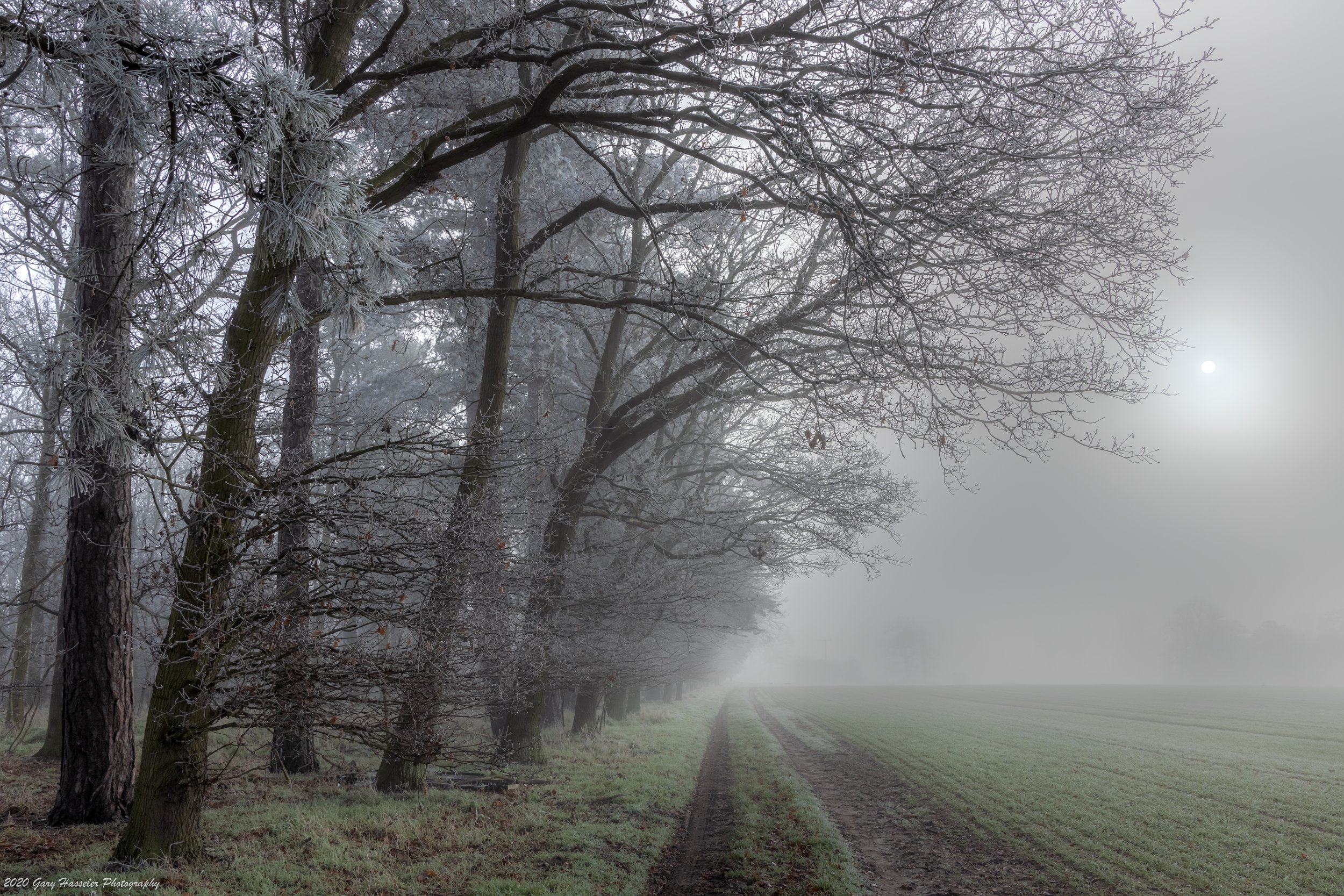 A frosty winter morning near Wetherden, Suffolk.
