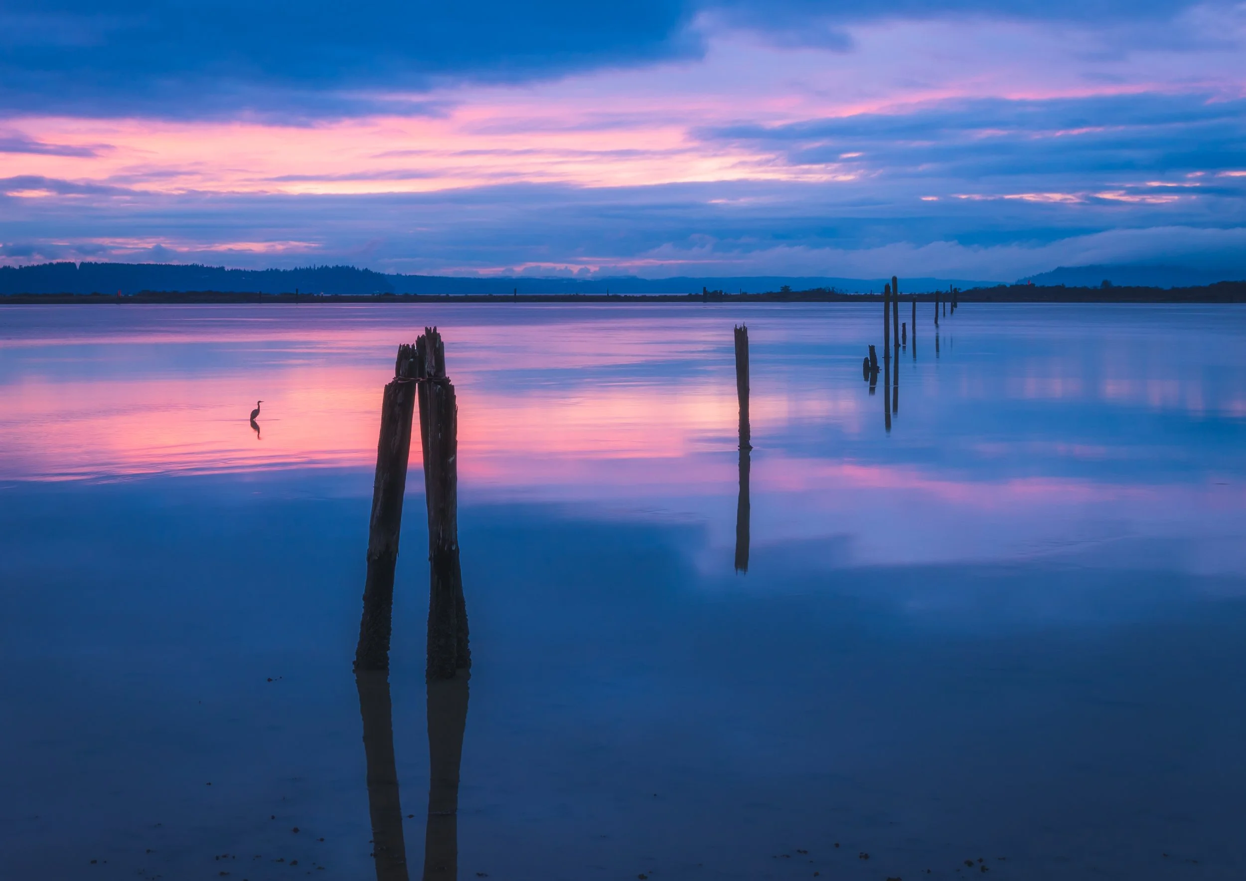 Sunset, a clearing storm and a heron feeding.  Puget Sound.