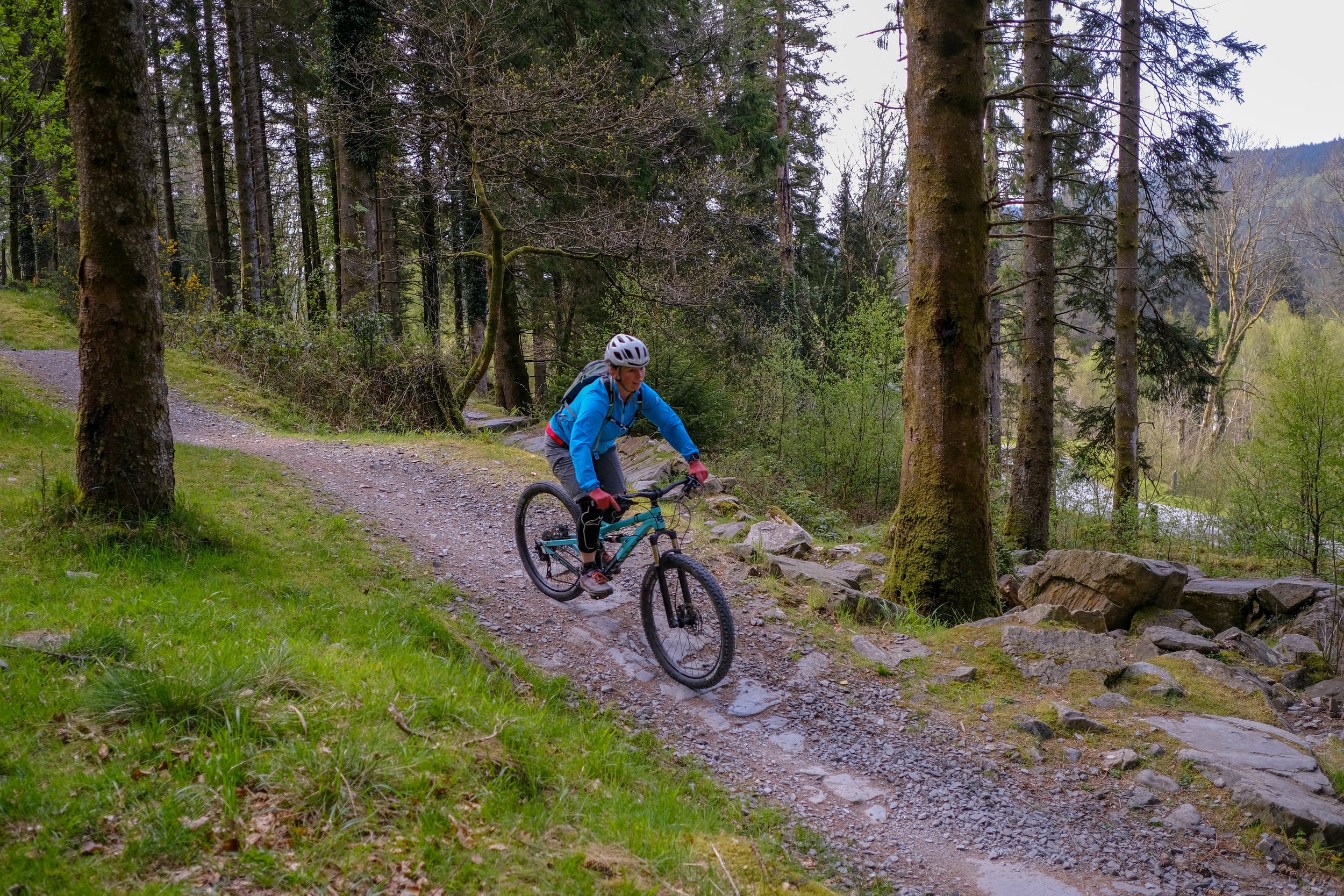 riding through forest on mountain bike