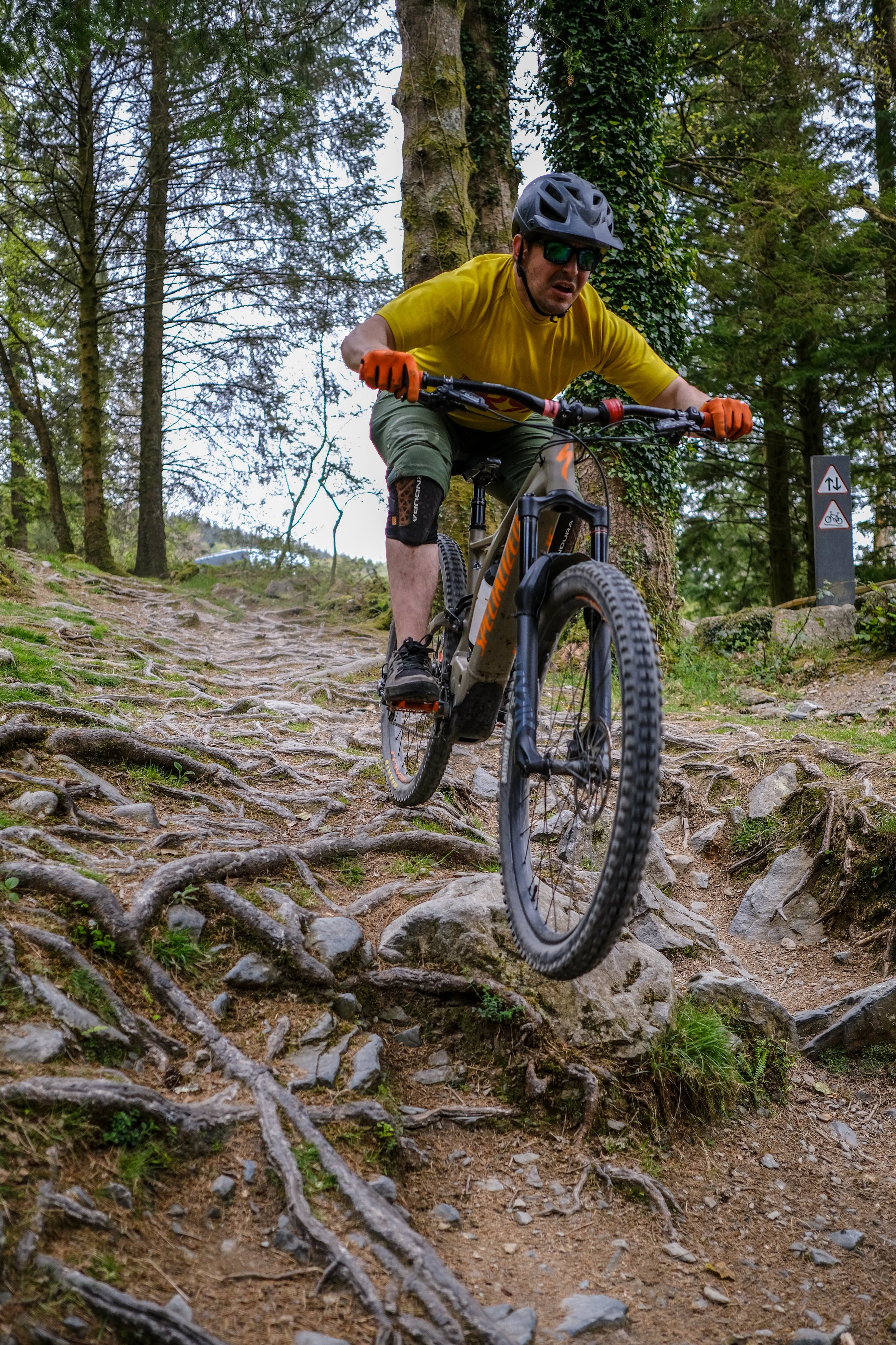 man riding down roots in forest on moutanin bike