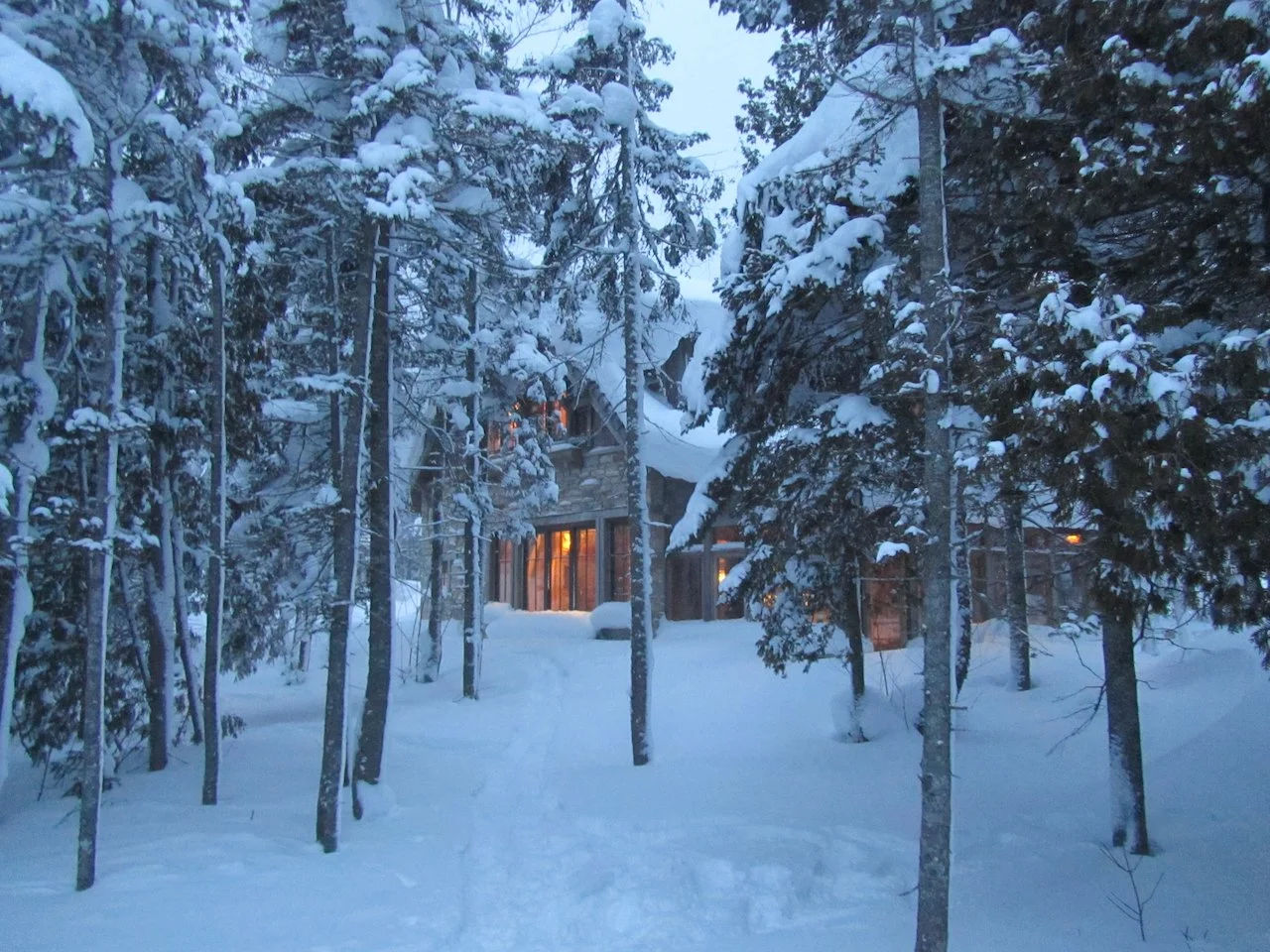 ..."Whose woods these are I think I know..." (Robert Frost)