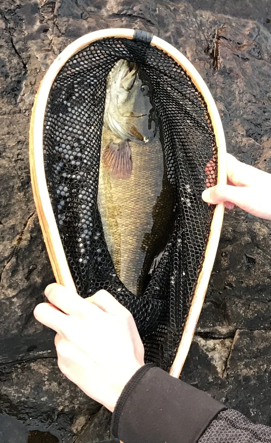 Caught off the rocky point