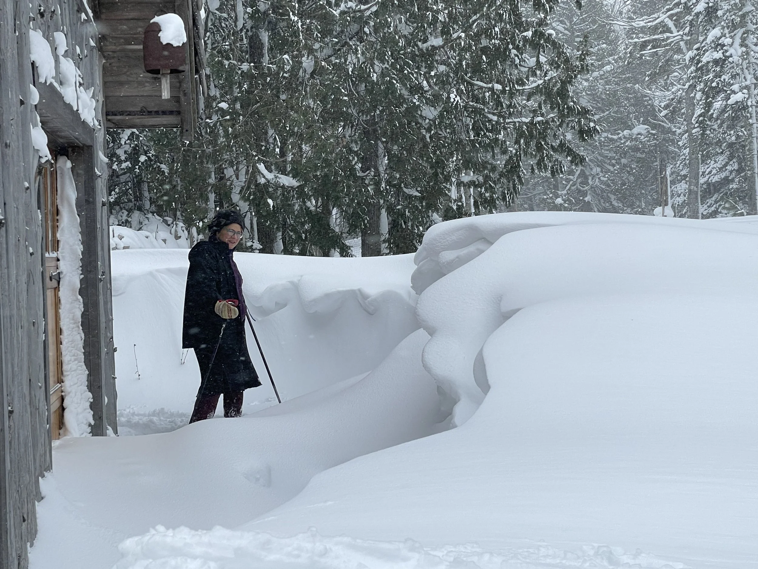 Baby snowdrifts dream of glaciers.