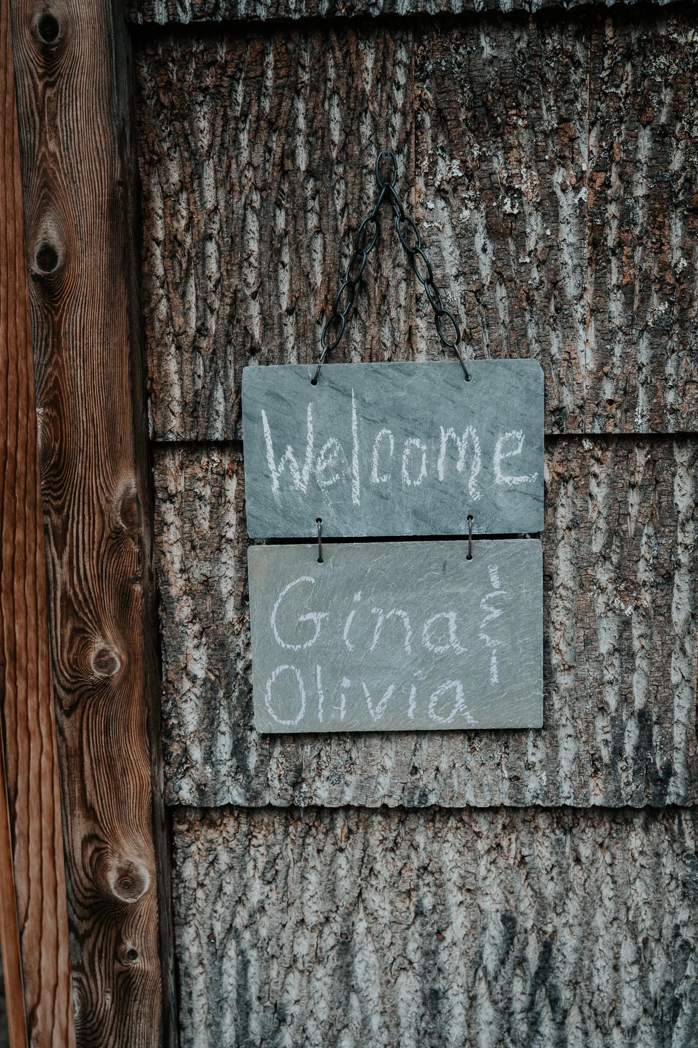 Copy of DSC02806.jpg