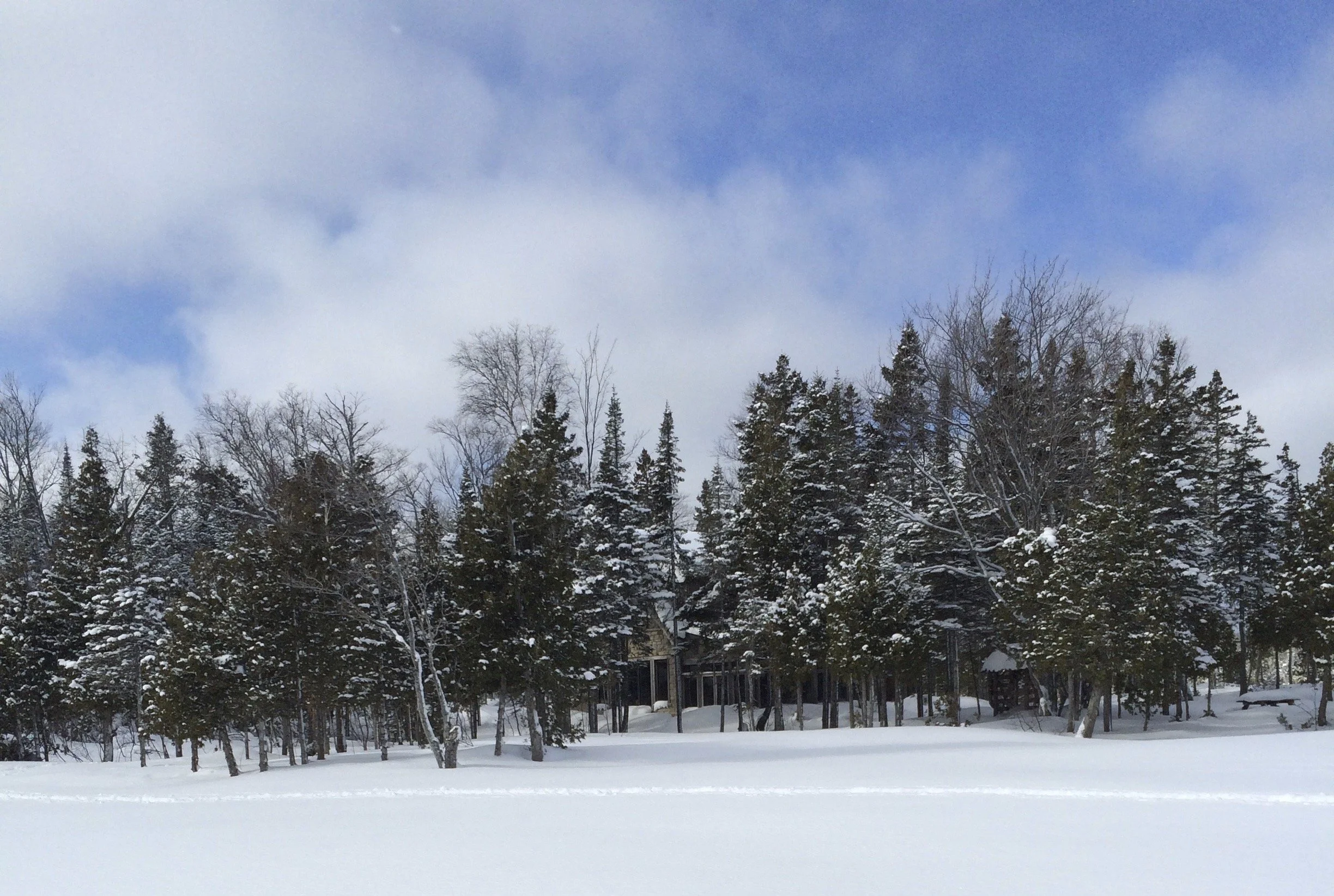 Cabin scene - winter