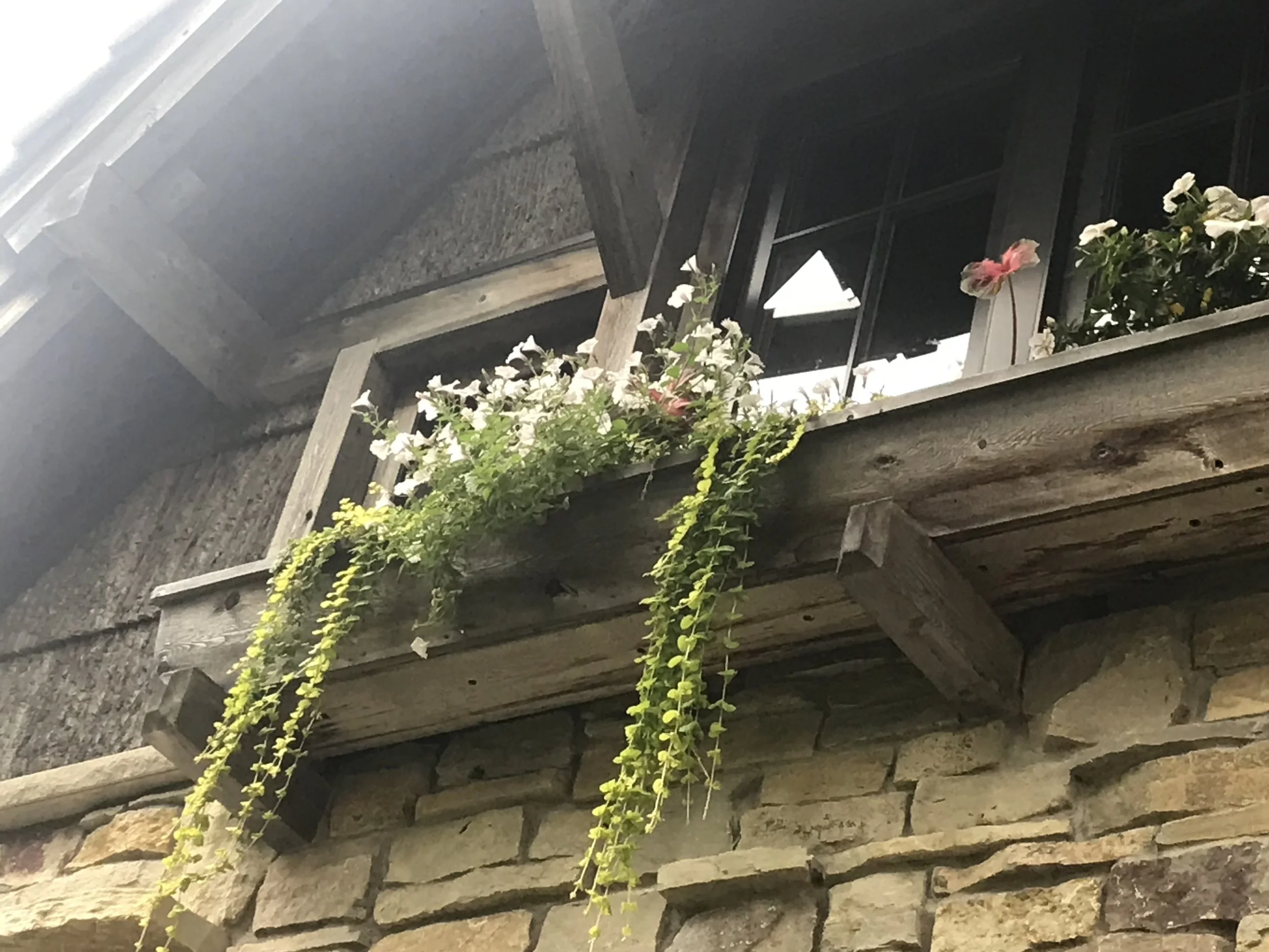 Window box detail - 2nd floor