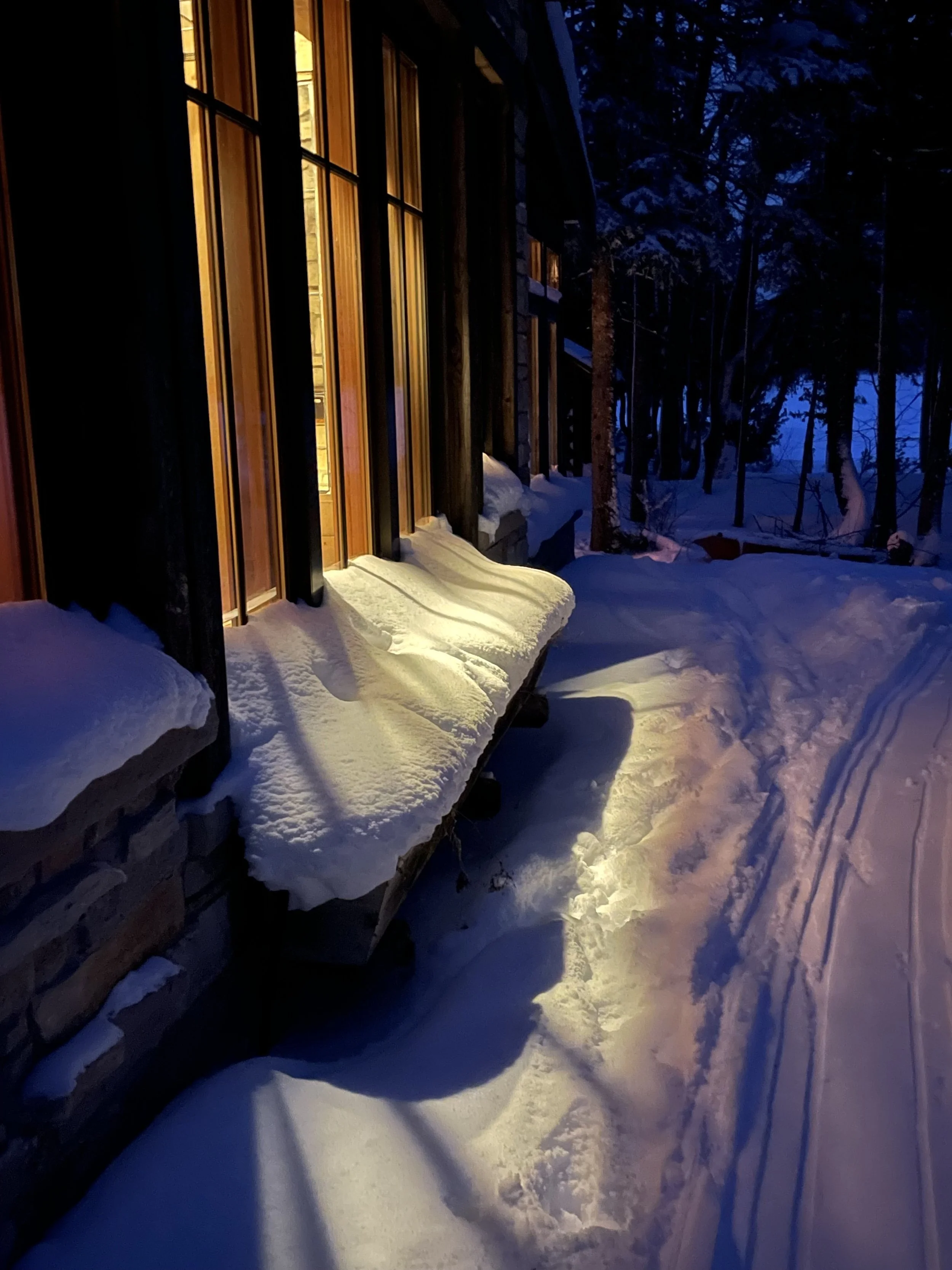 Reflections on snow #1.