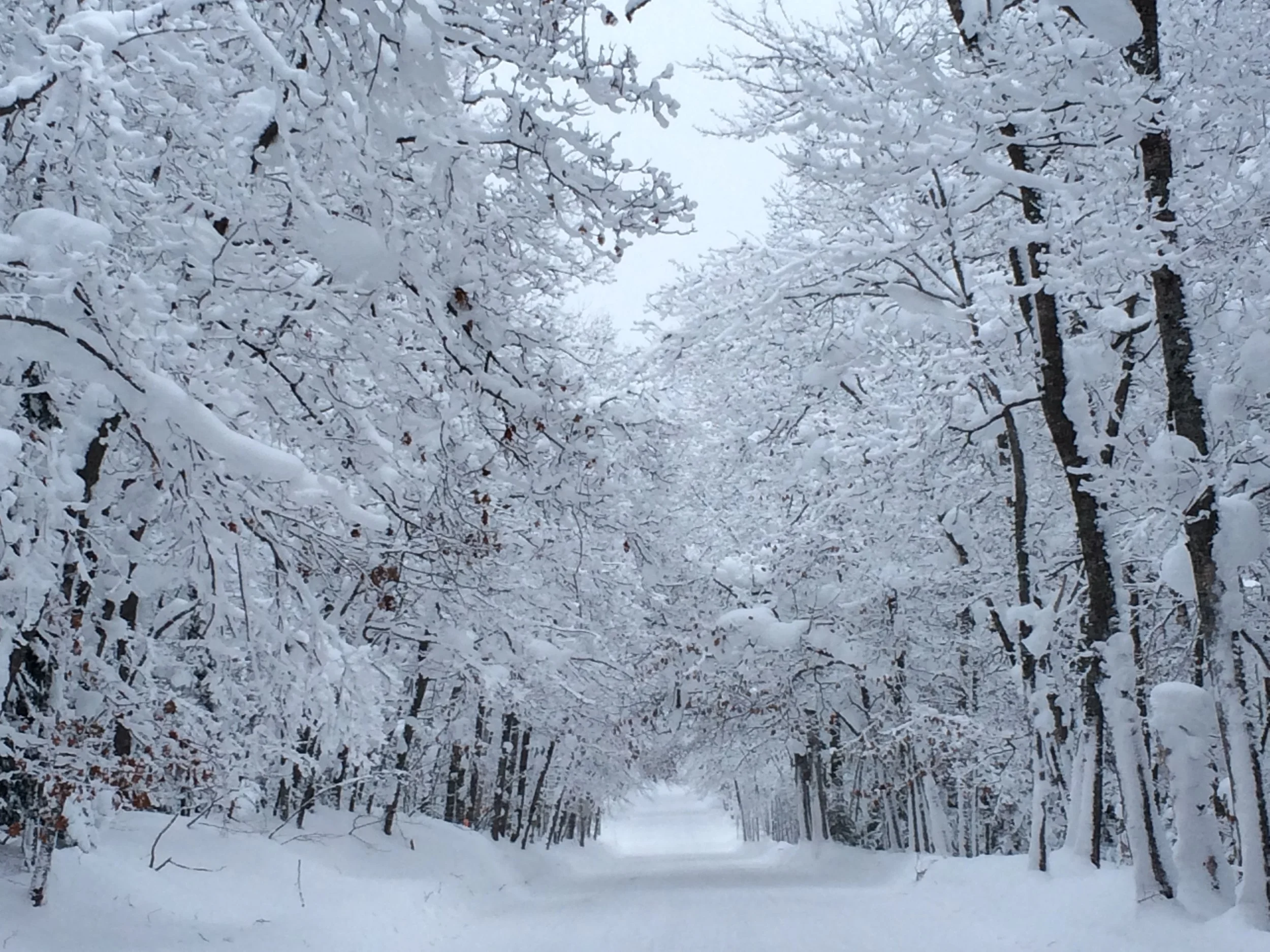 This is US Highway 41 which starts in Miami.